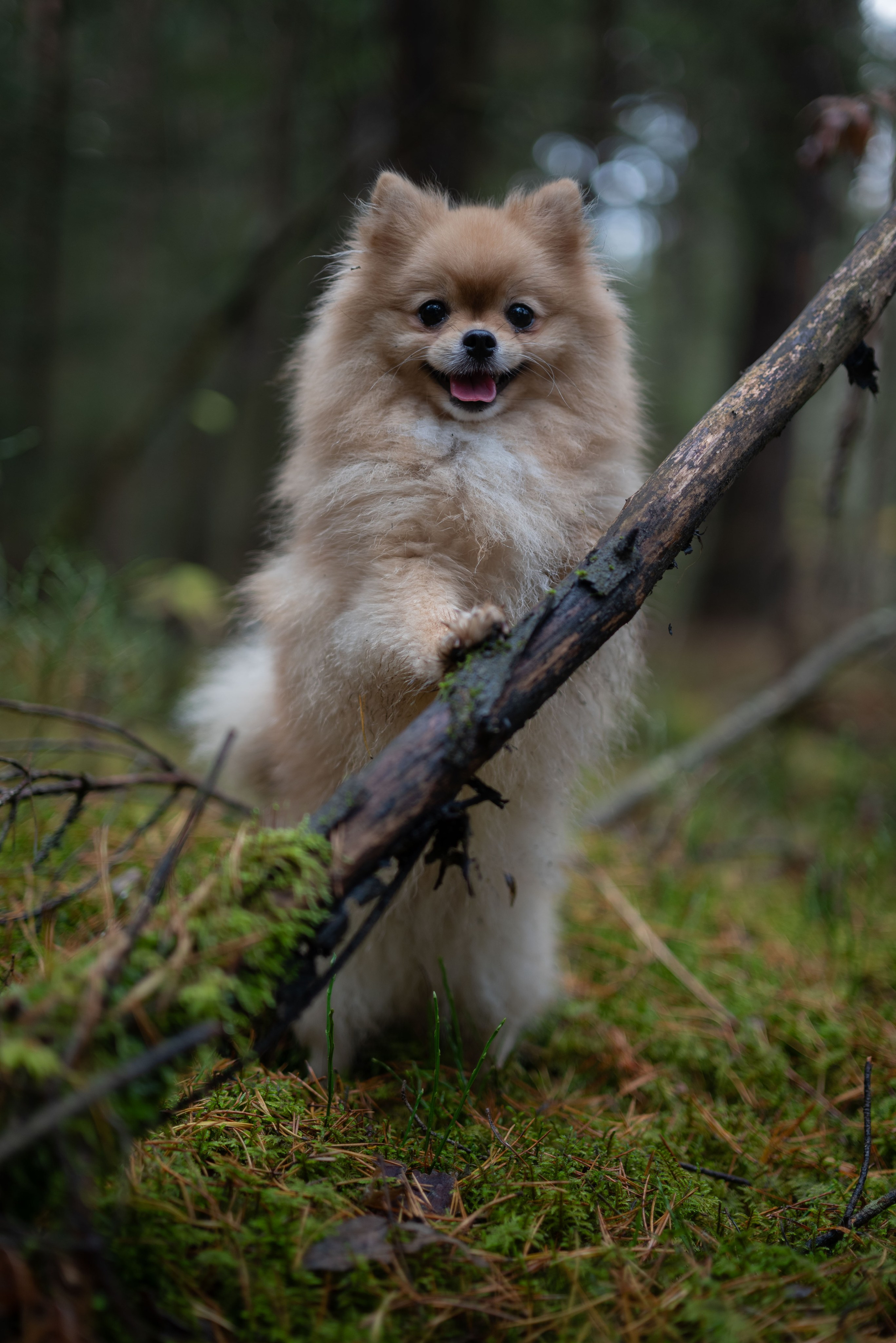 Фотосессия Мишель