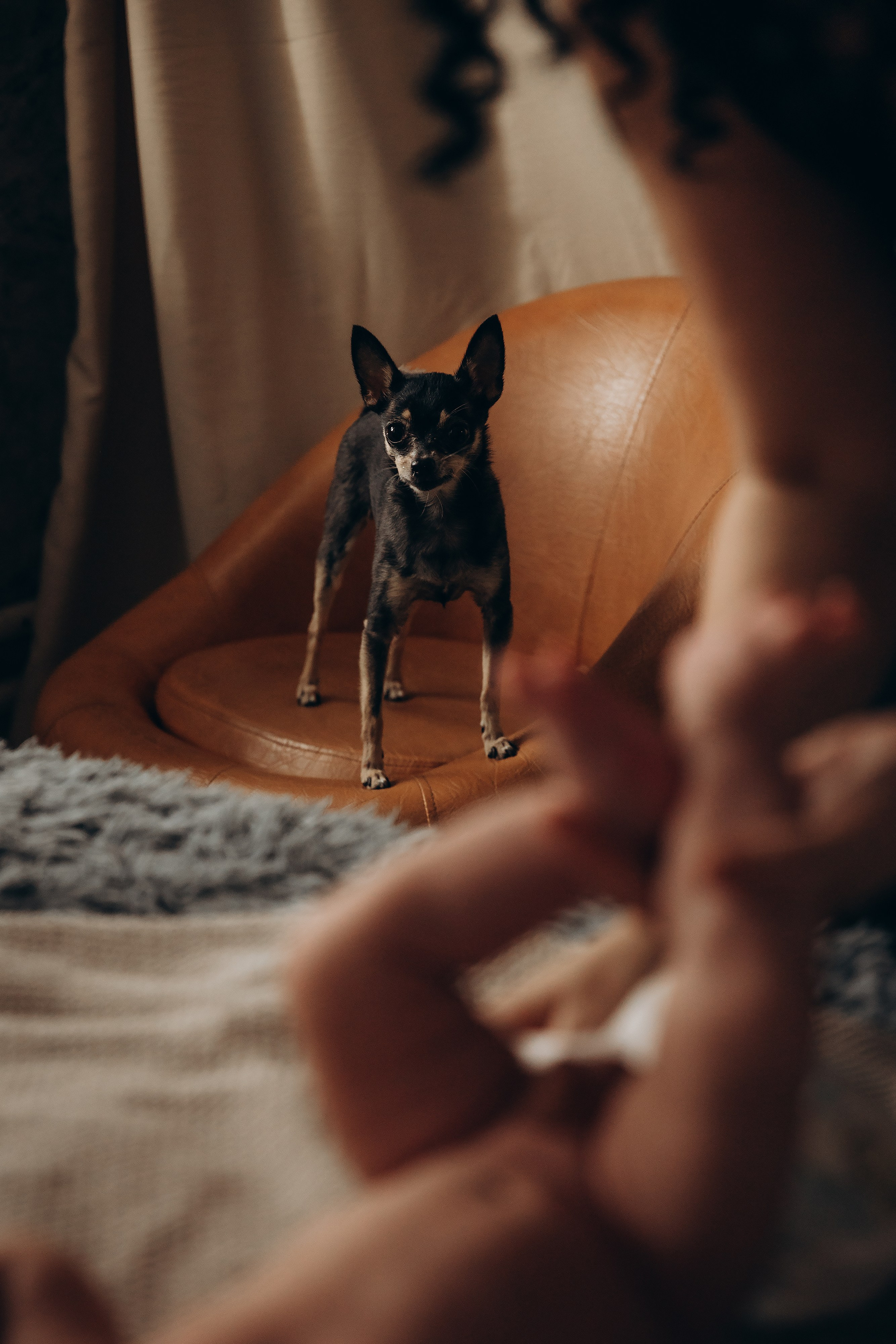 Домашняя съемка. Ваш фотограф в Москве и области Юлия