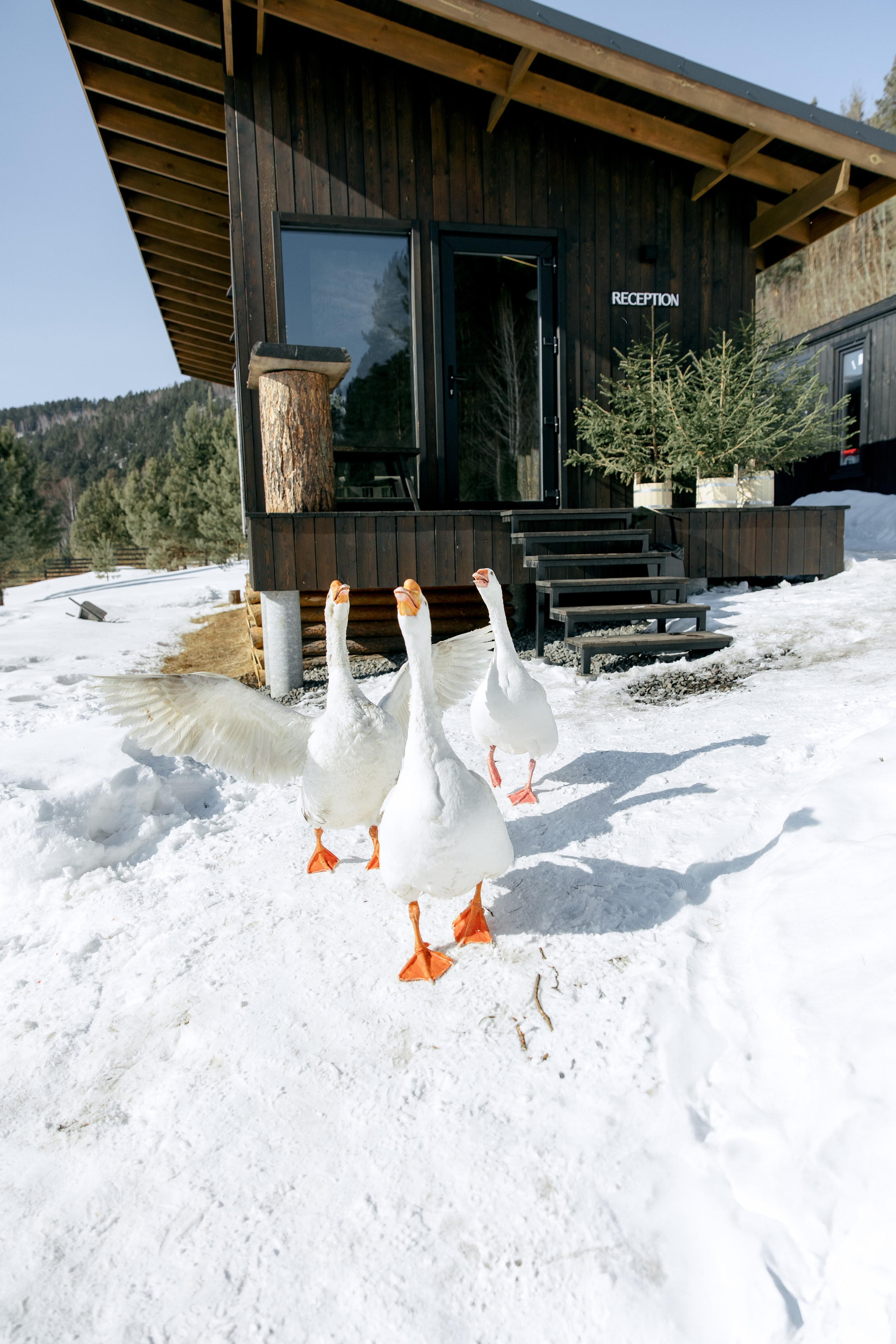 ДЕНЬ ДОЖДЕНИЯ ЕКАТЕРИНЫ. Фотограф в Красноярске