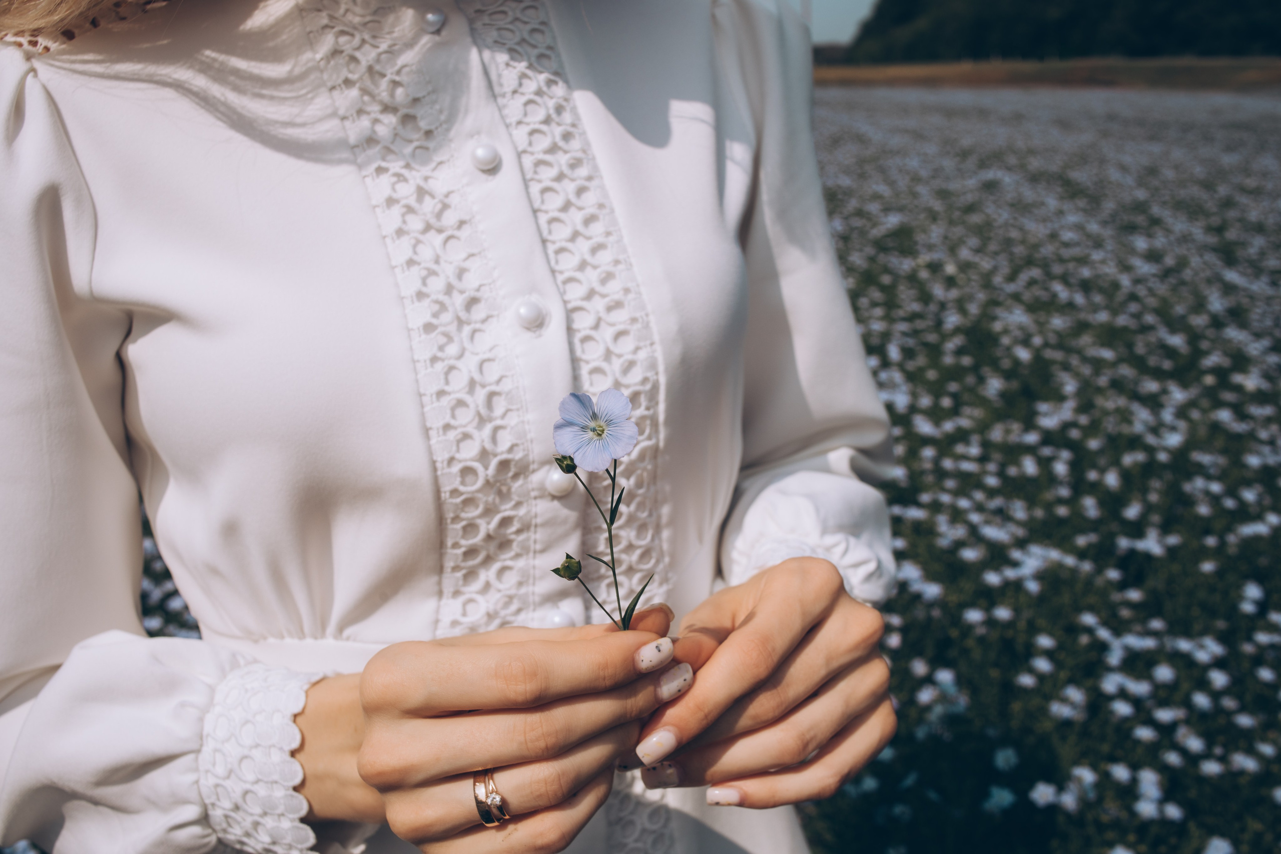 Фотосессия в поле льна. Свадебный и семейный фотограф в Краснодарском крае Мария Данилкина