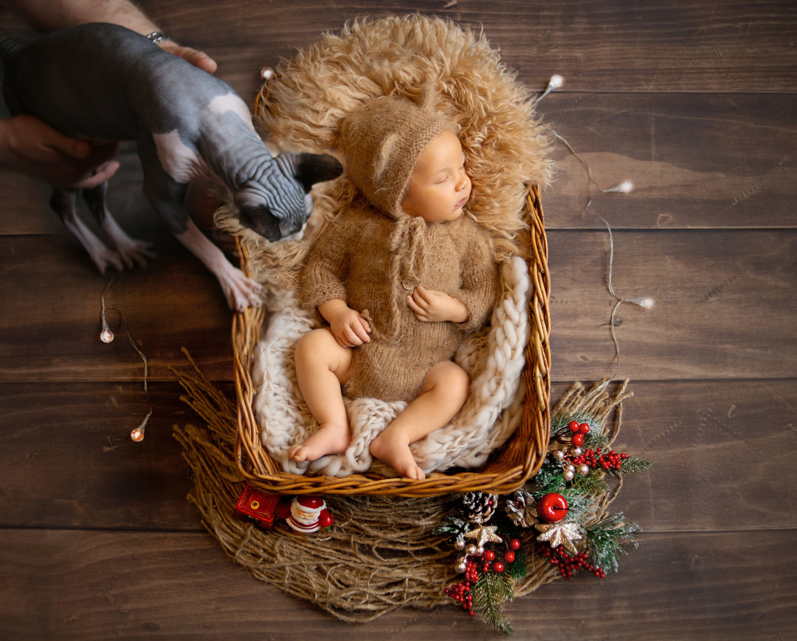 Фотограф новорожденных в Москве — Елена Михеева