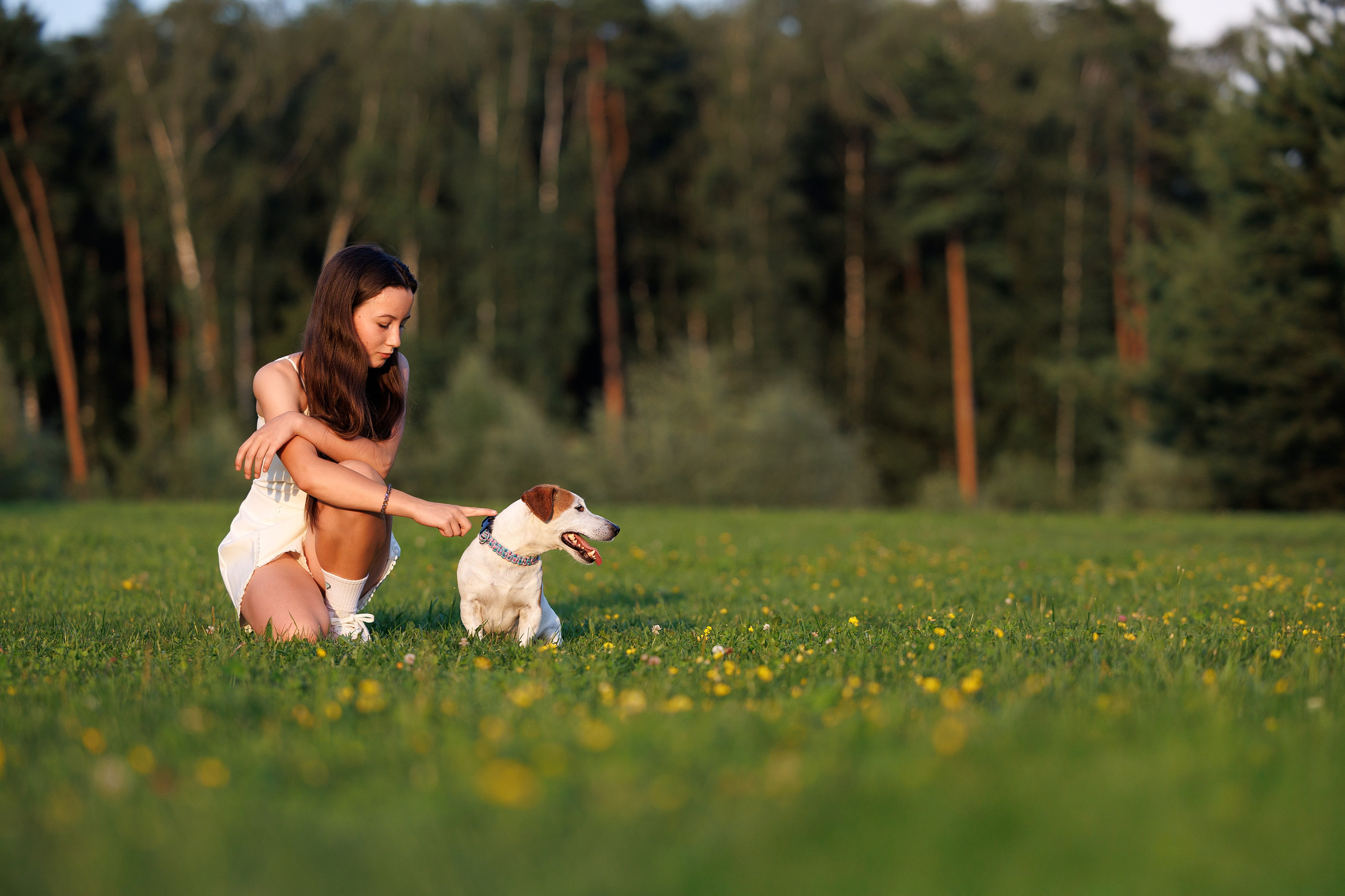 Юлиана и Риф (в обработке). Фотограф Анималист в Москве Анастасия Жучкова