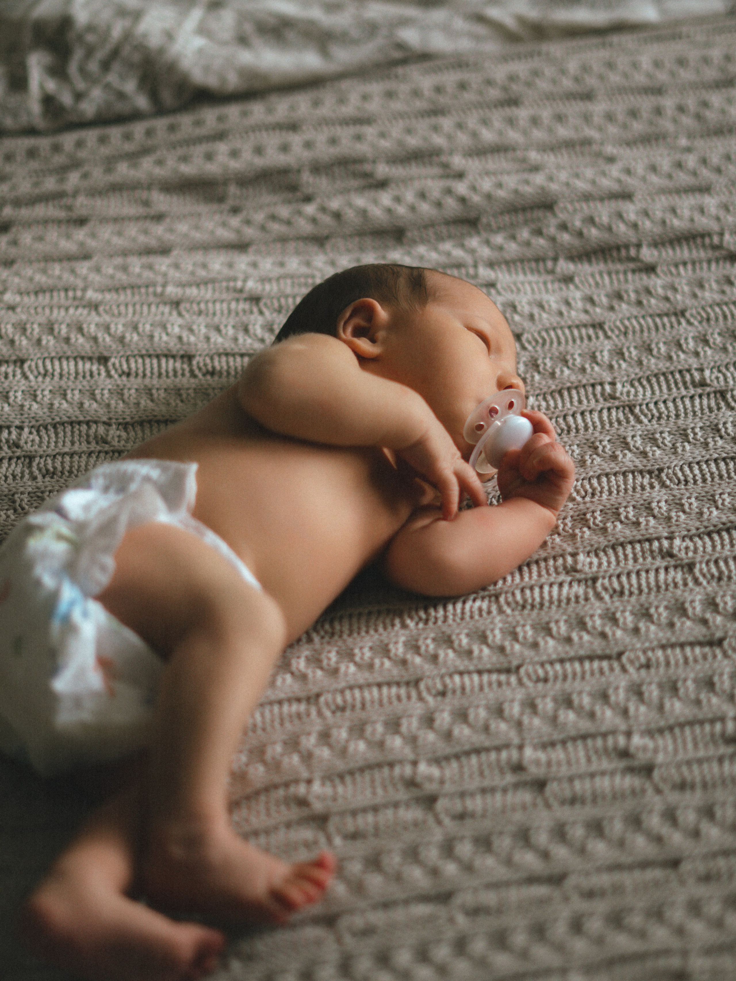 Мироша. SHILOVA PHOTO. Шилова Екатерина. Фотограф. Москва