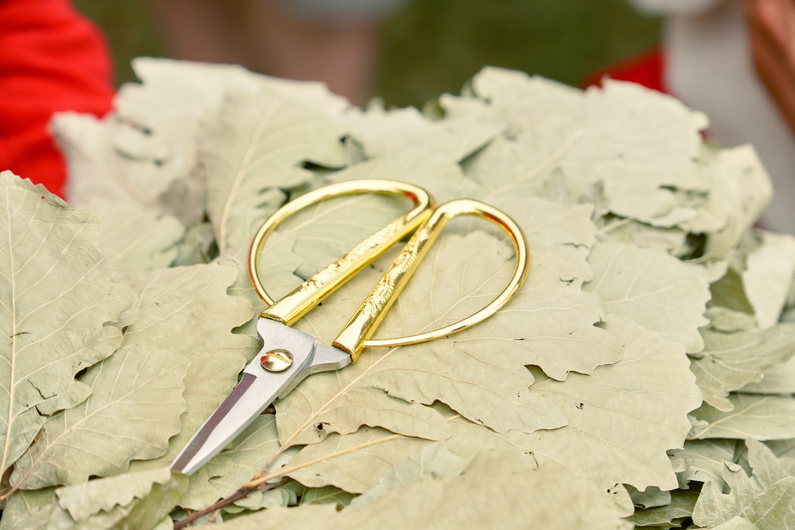 Место Силы Николая Павлова. Фото | Видео Контент Мишель Ватаманюк