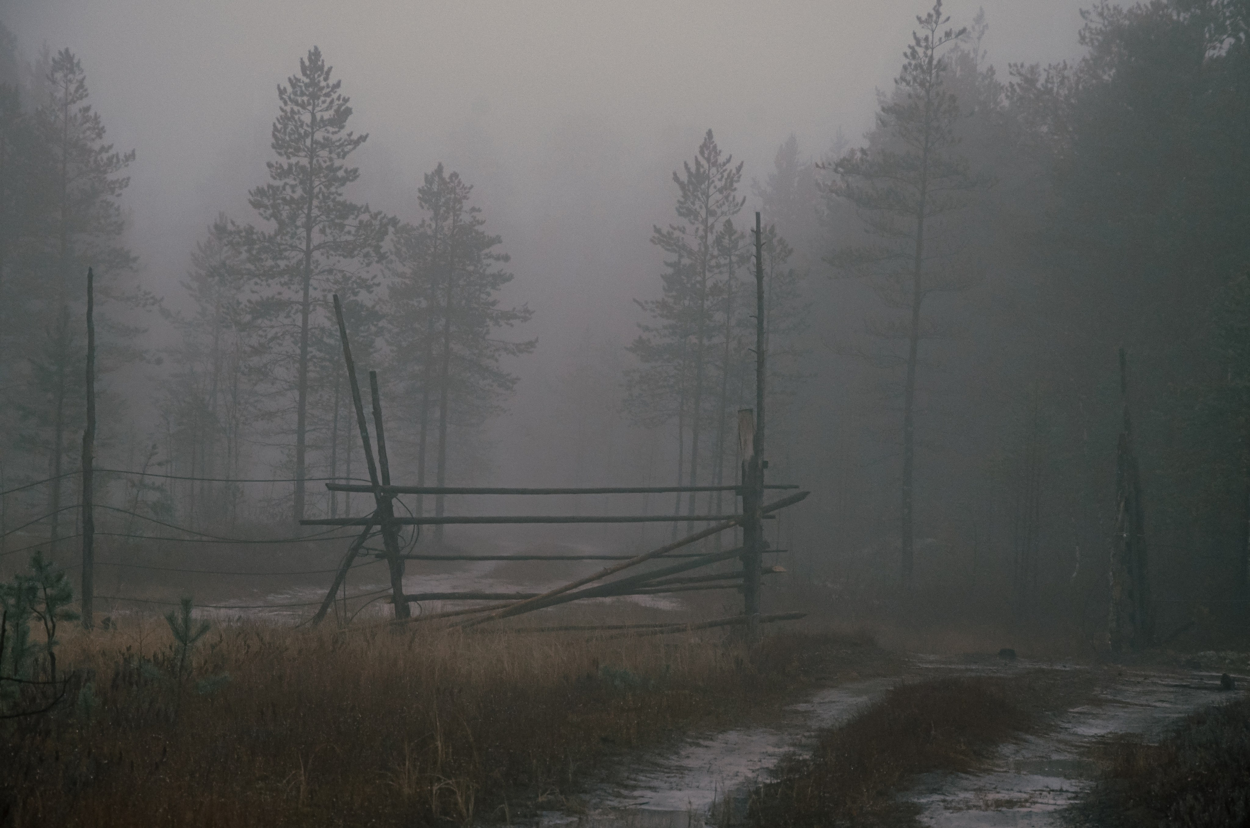 Тайга. Фотография — это миг, который фиксирует вечность