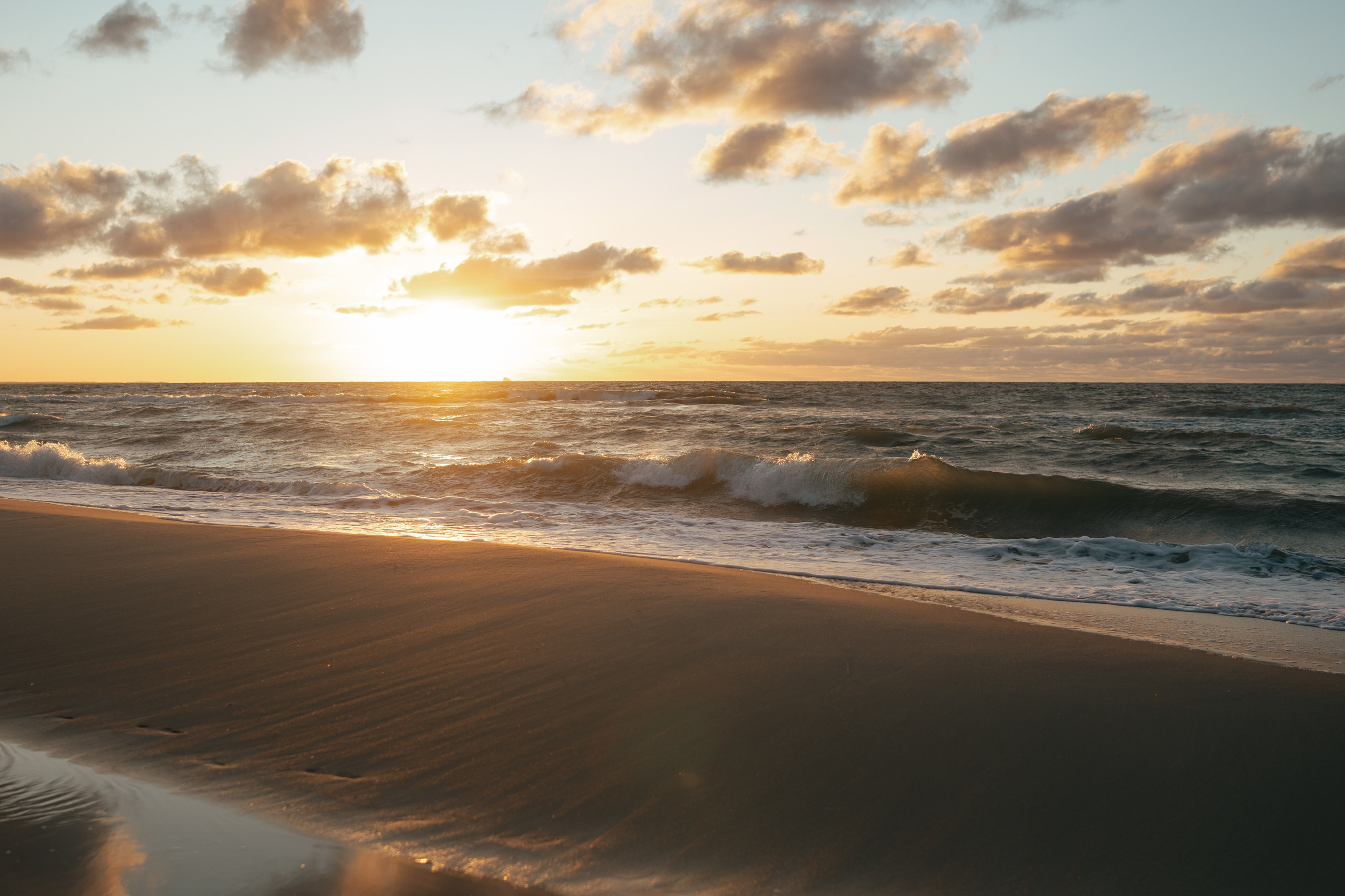 Алима & Никита. Куршская коса. Оформление свадеб, декор свадеб Вера Маркова, Москва