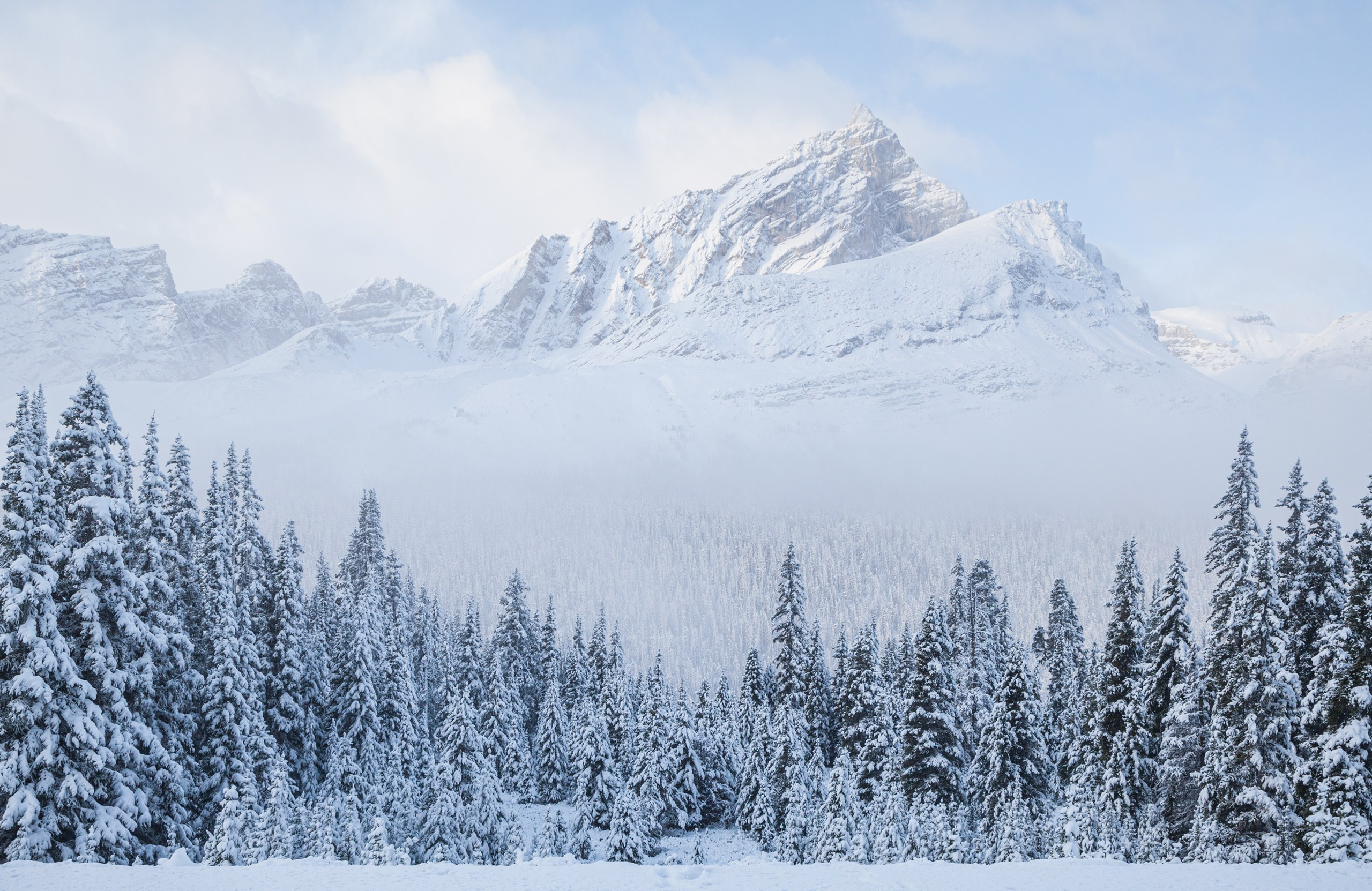 Канада. Фотограф Владимир Медведев