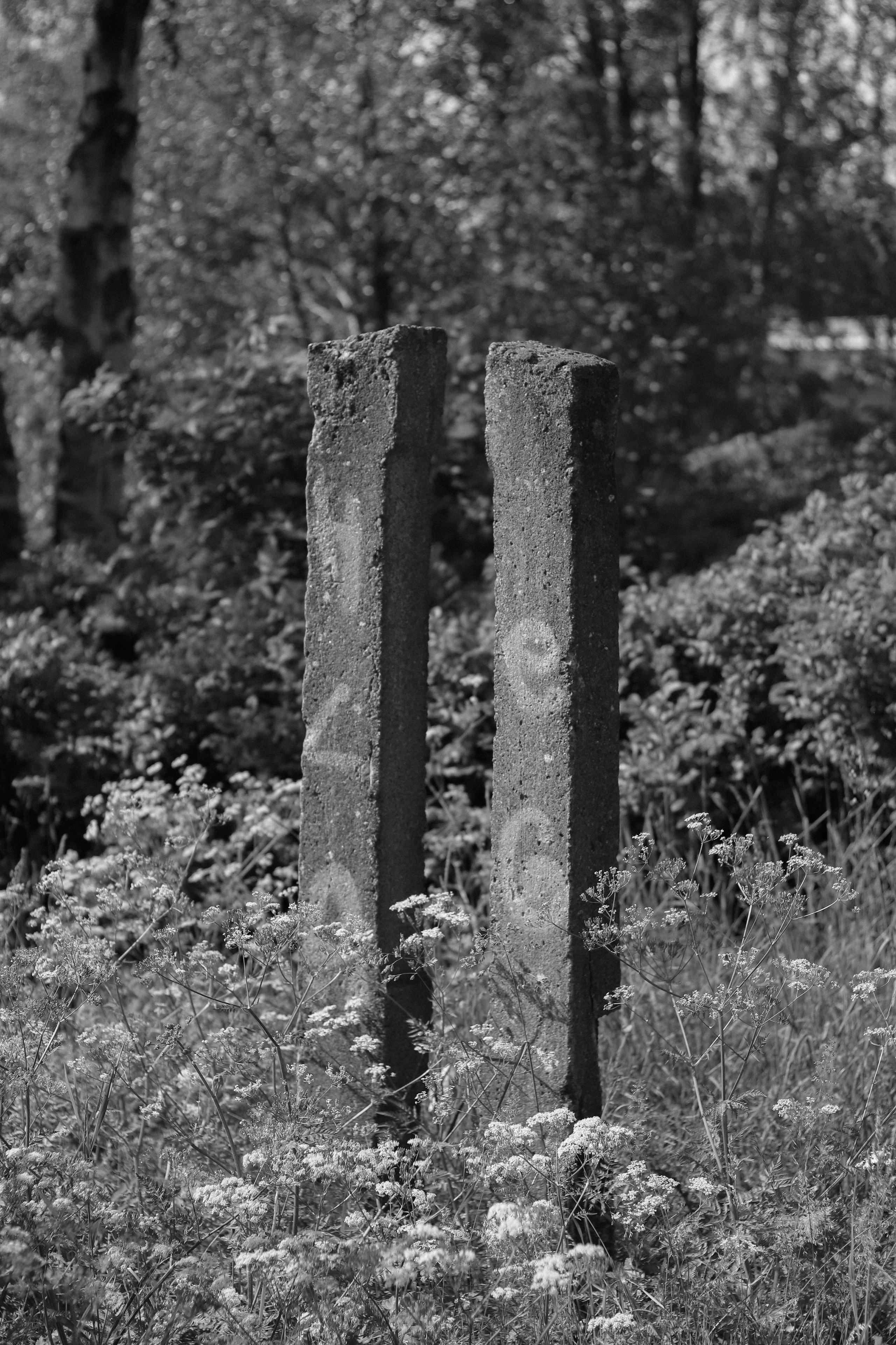 Contour. Фотограф и исследователь фотографии из Санкт-Петербурга Елизавета Веприцкая