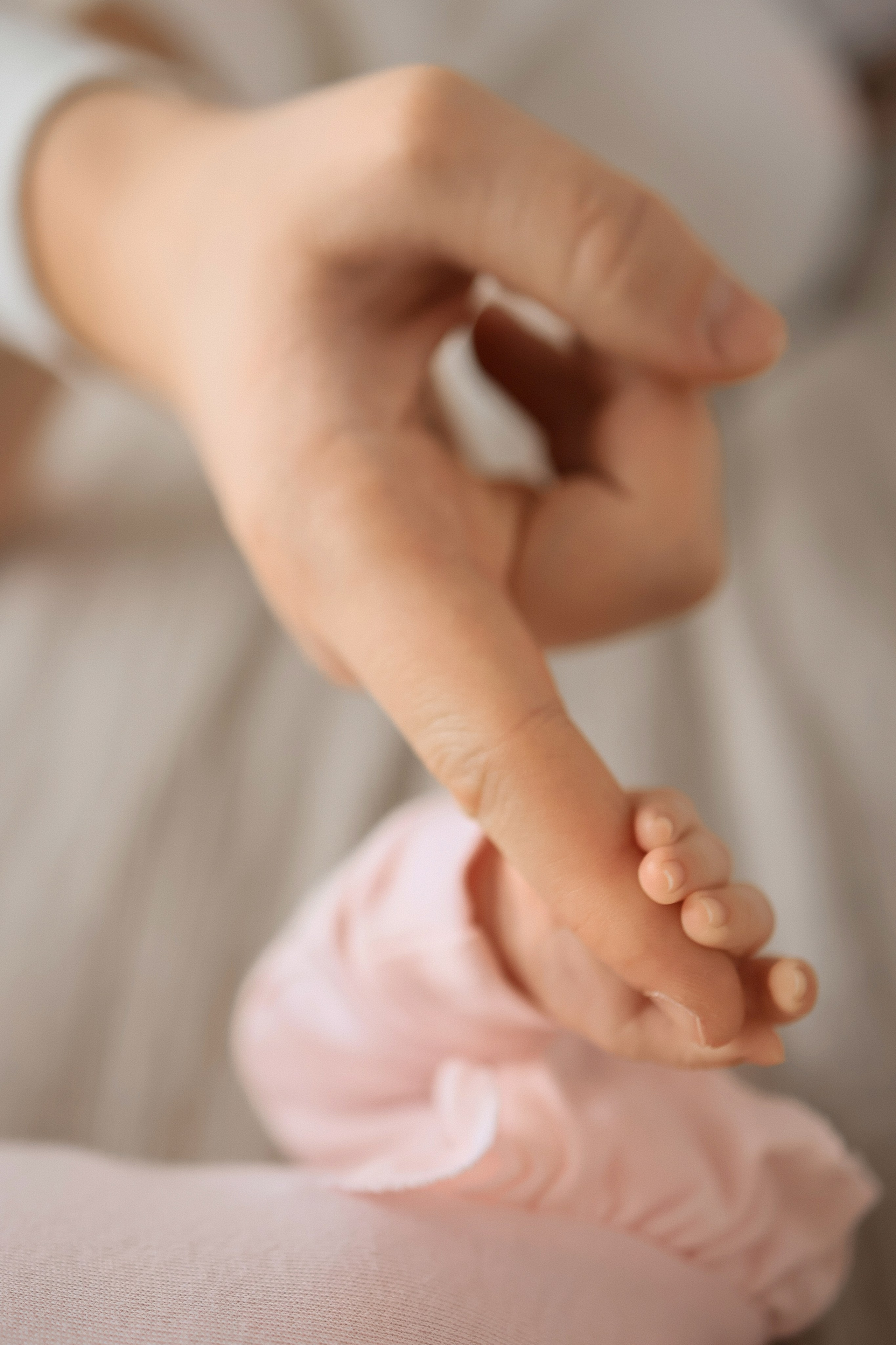 Семейная. ФОТОГРАФ КАМЧАТКА ИРИНА БЕЛОКРЫЛОВА