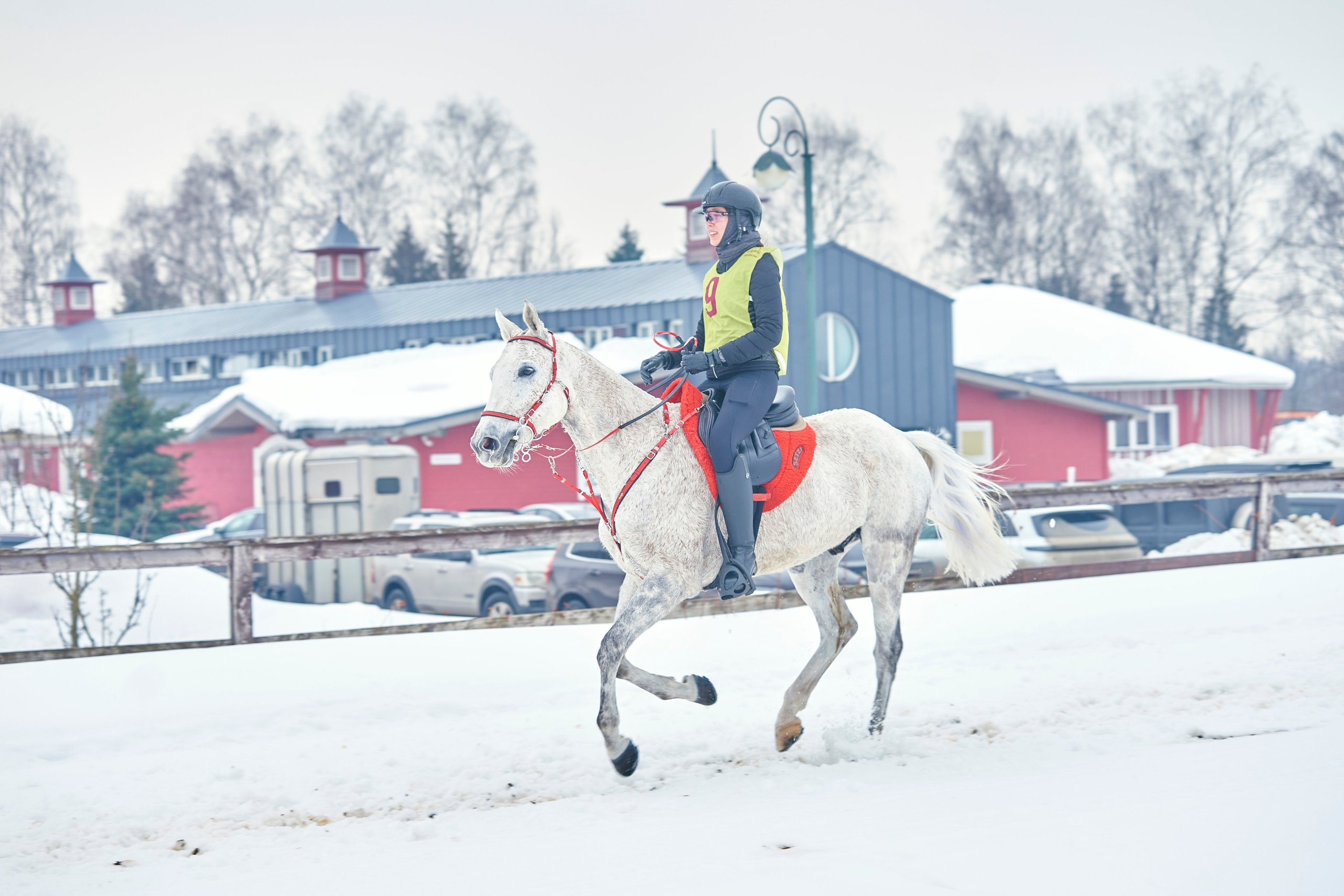 HORSE RACING. Фотограф Наталья Леонова