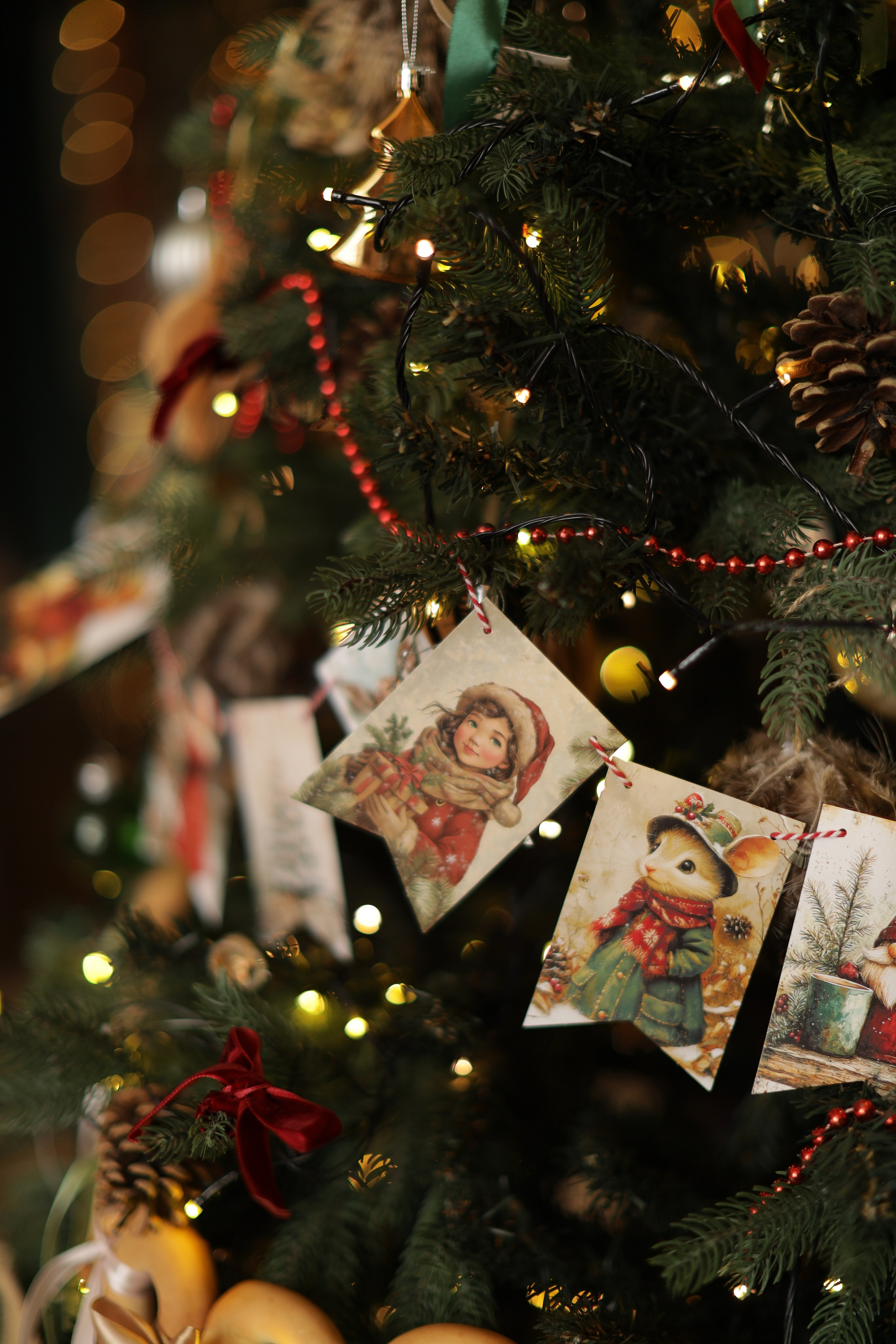 Фотостудия «Роял» зал Теплица. Свадебный фотограф в Ростове Александра Груздева