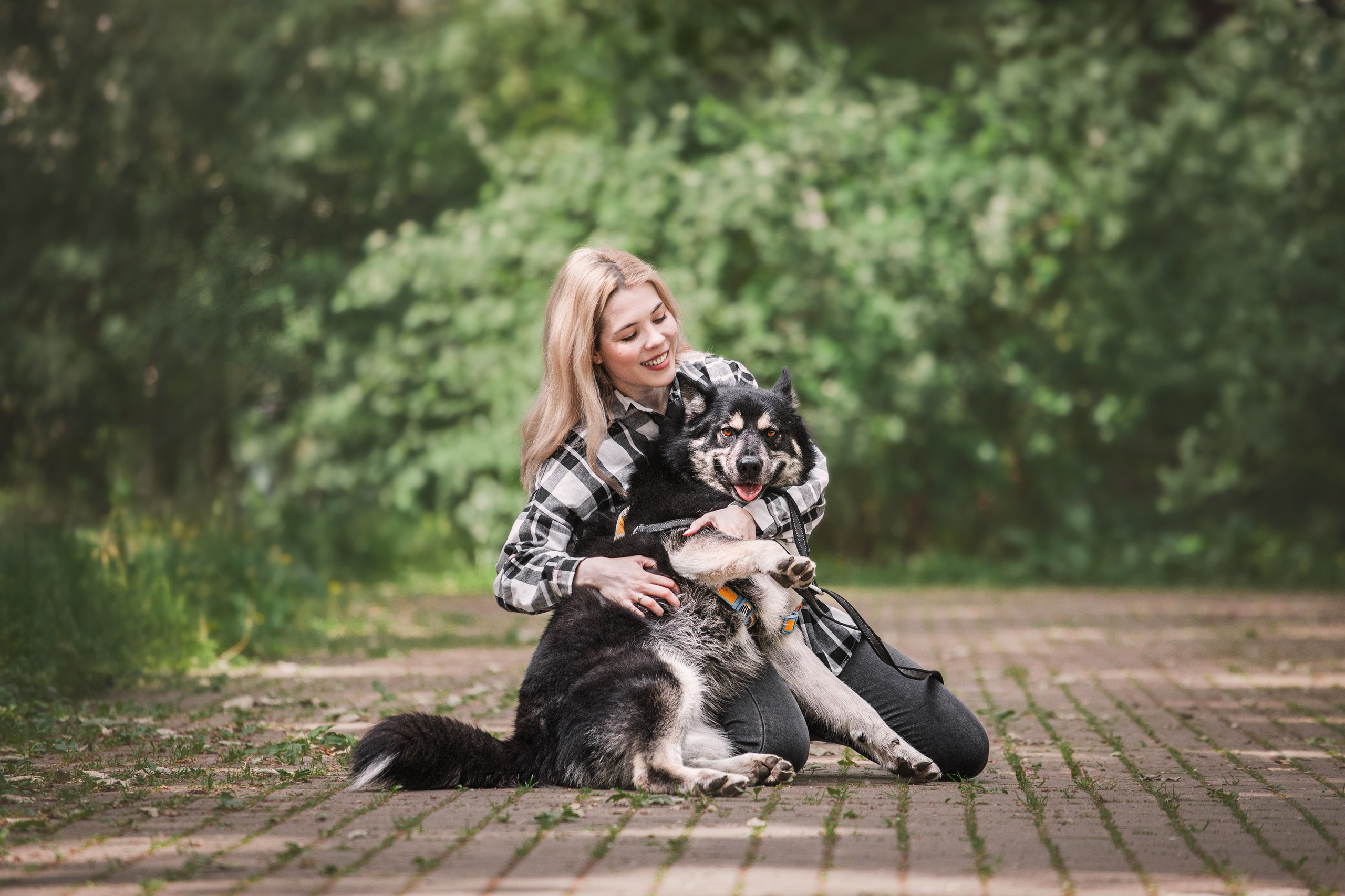 Собаки из приюта Дубовая роща лето 2025. Фотограф-анималист Татьяна Степанова