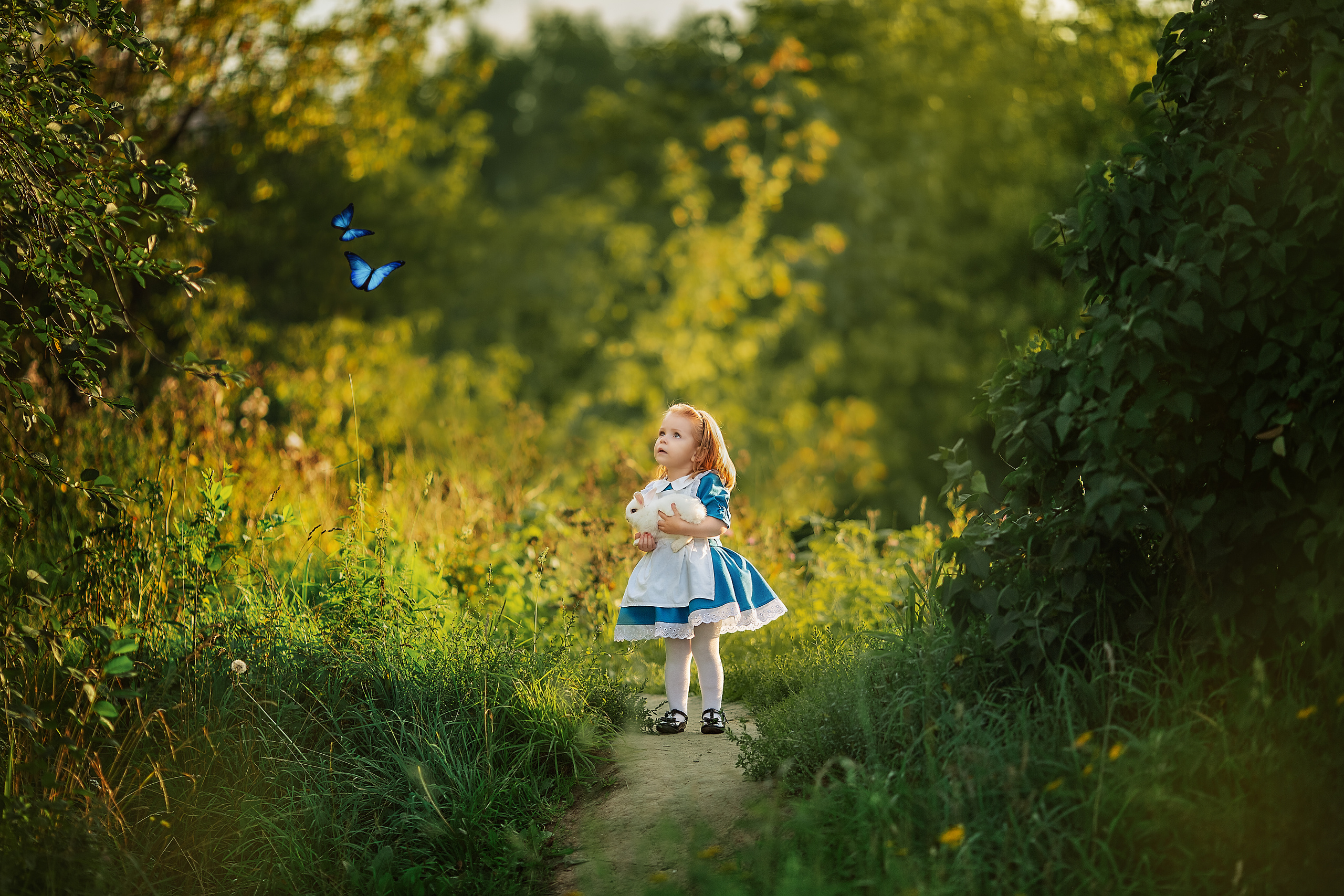 Алиса в стране чудес. Ваша история в фотографиях