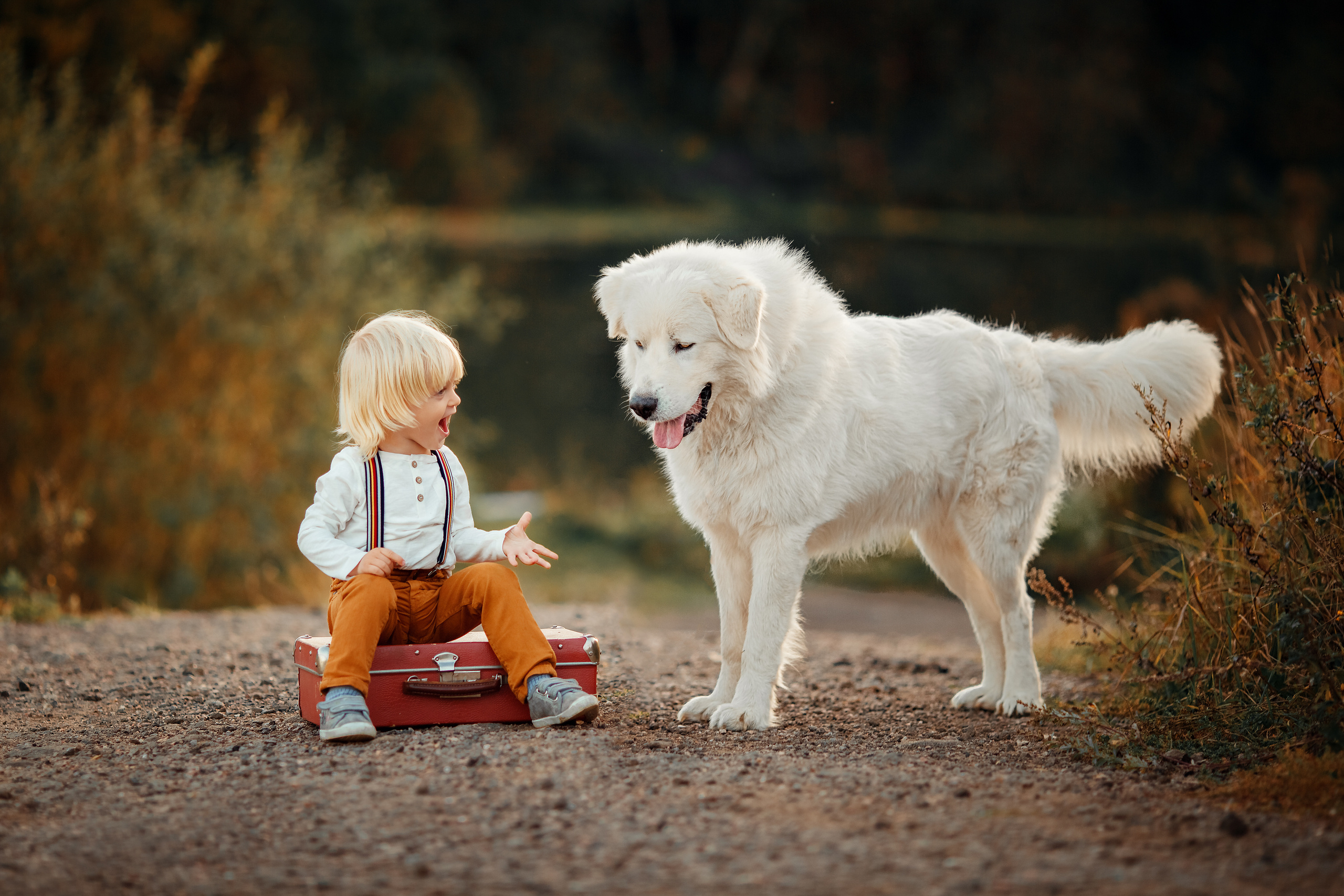 Дети. Ваша история в фотографиях
