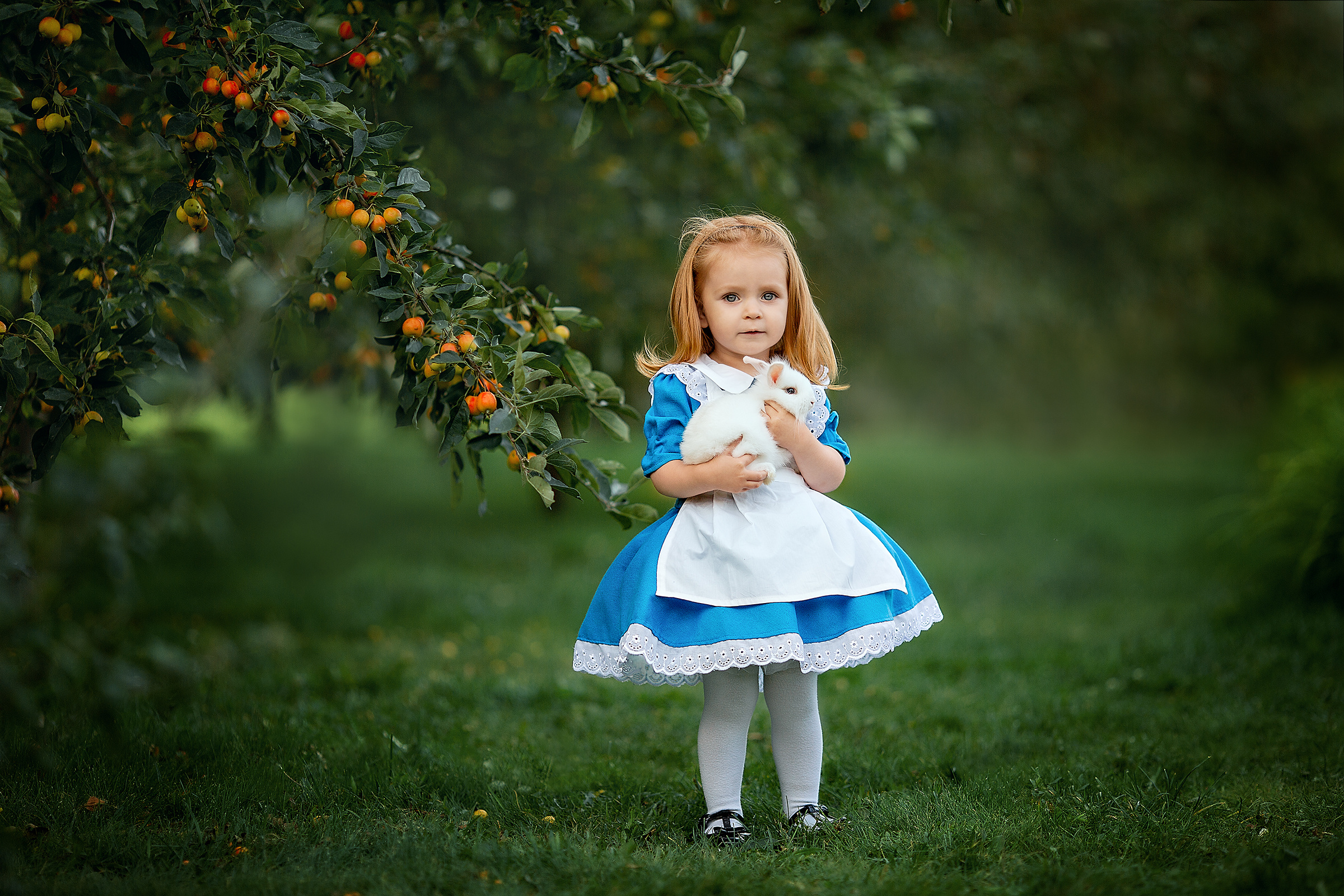 Алиса в стране чудес. Ваша история в фотографиях