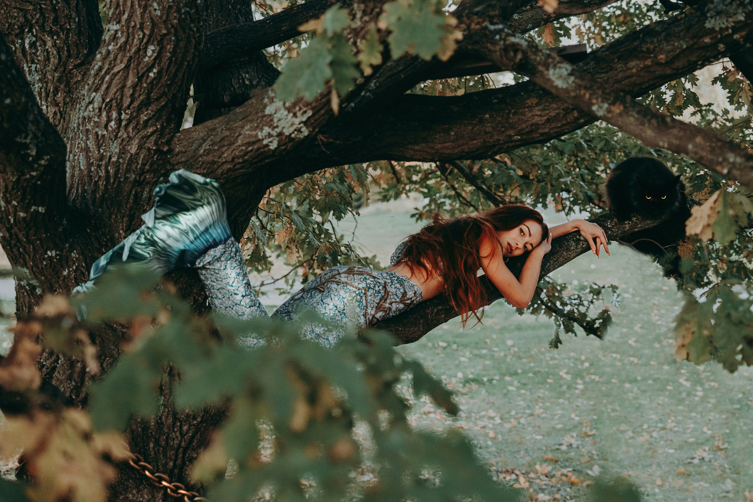 Художественные. Главная