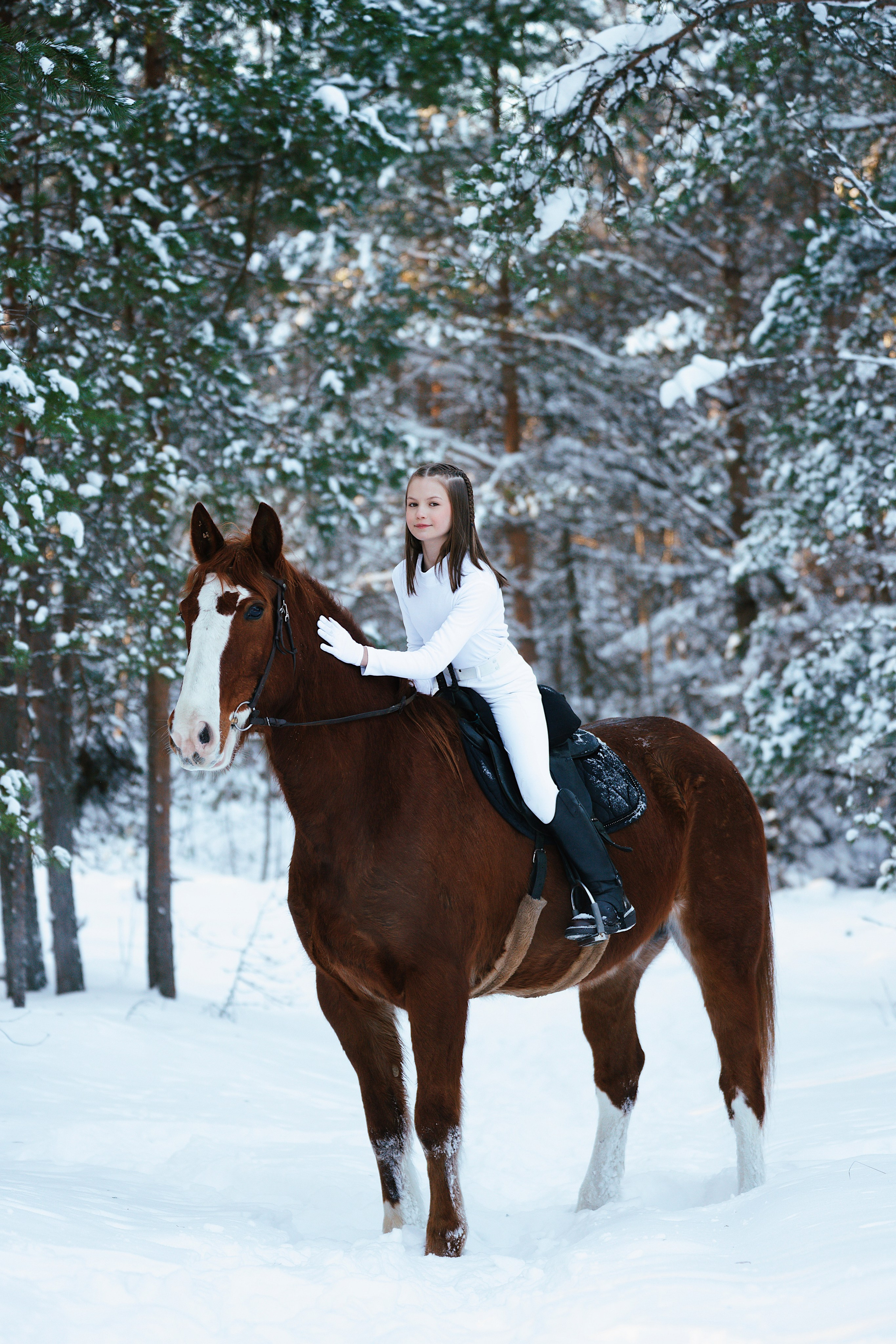 Конные. Фотограф Сибирика (Ирина Кузнецова), Санкт-Петербург и ЛО — портреты, свадьбы и семейные съемки. Творческий подход и качественные фото