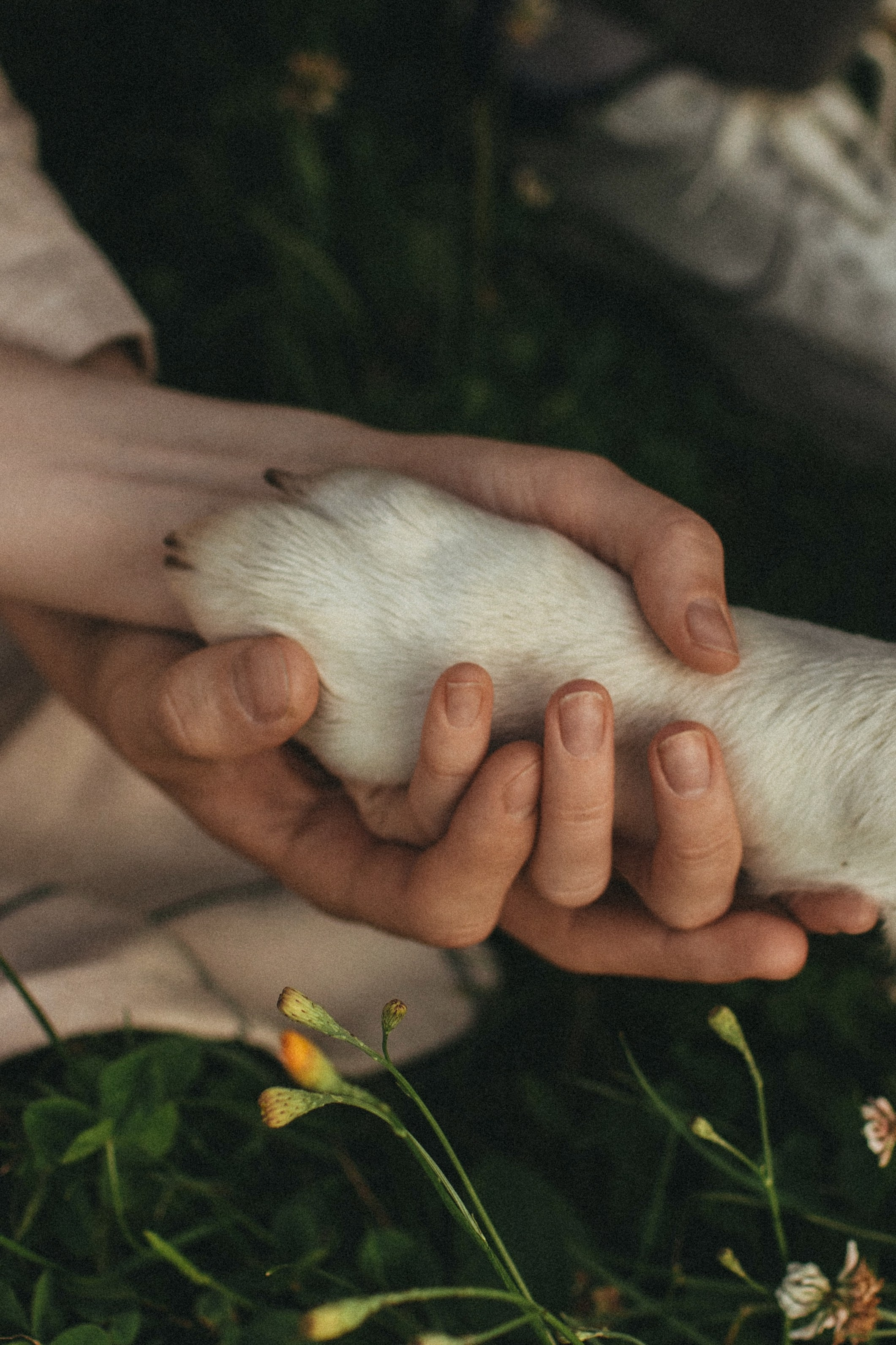 Алеся & Саша. Семейный фотограф в Москве