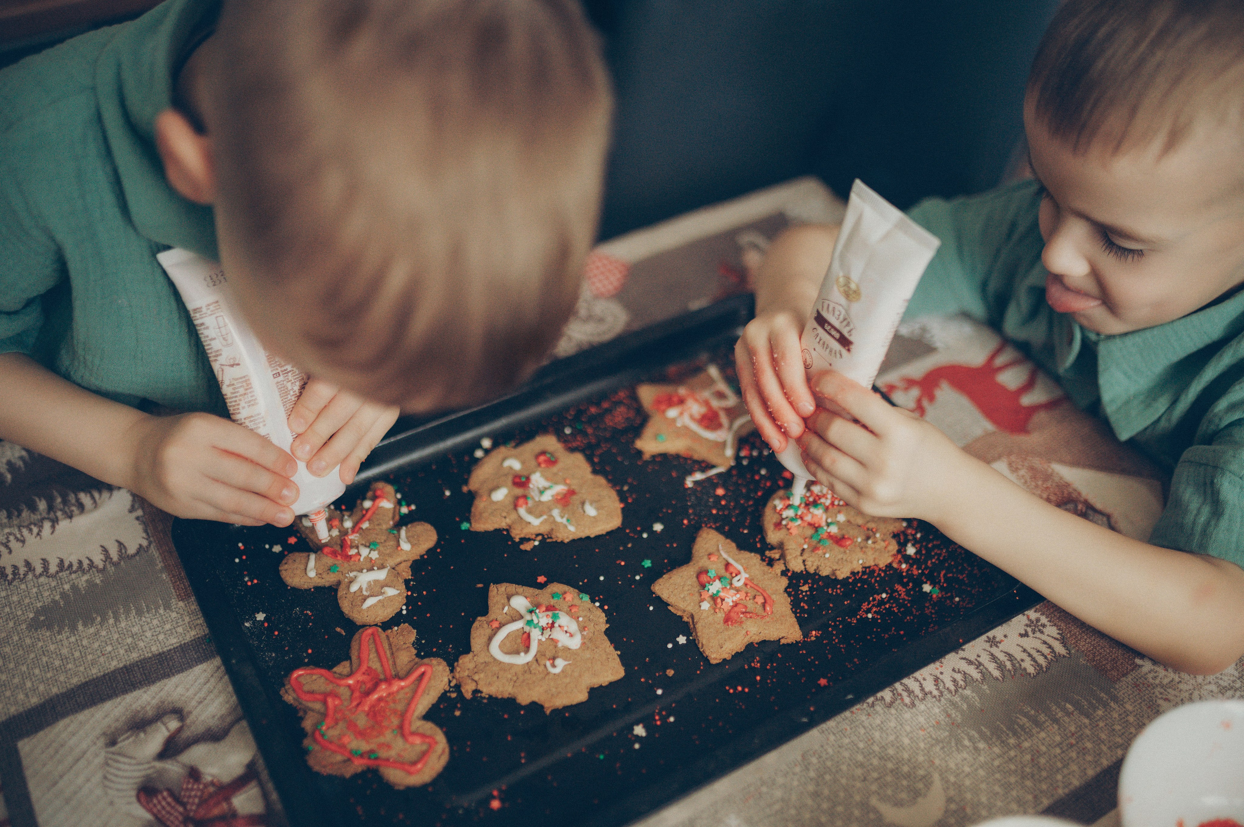 Поворята Миша и Тимофей (домашняя). Фотограф, г. Лесной Свердловской области