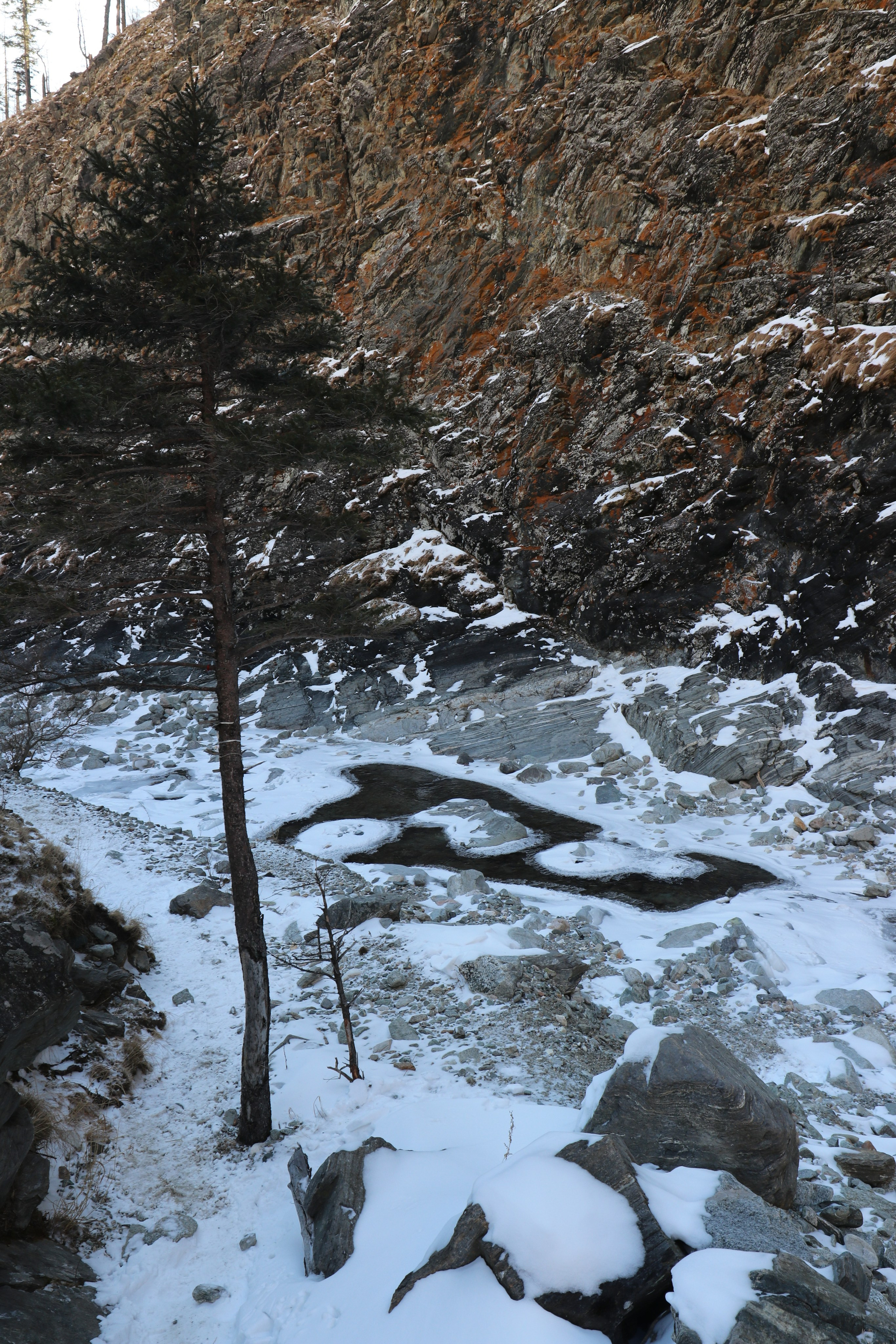 Аршан. Январь 2022. Путешественник-фотограф из Санкт-Петербурга Татьяна Свистулина