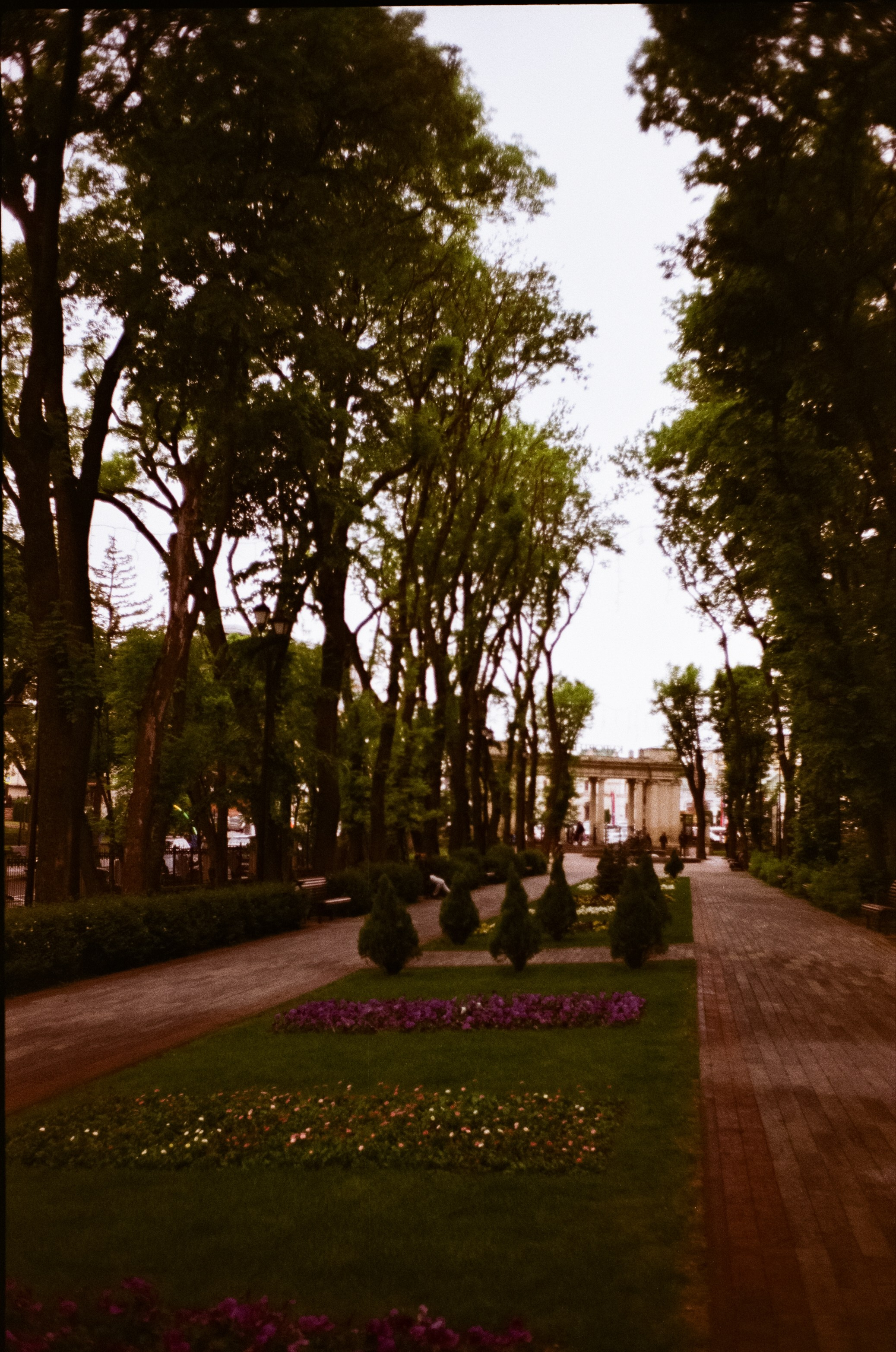 Ессентуки / 4 мая 2024 года / Minox 35GT / Konica VS Super 200