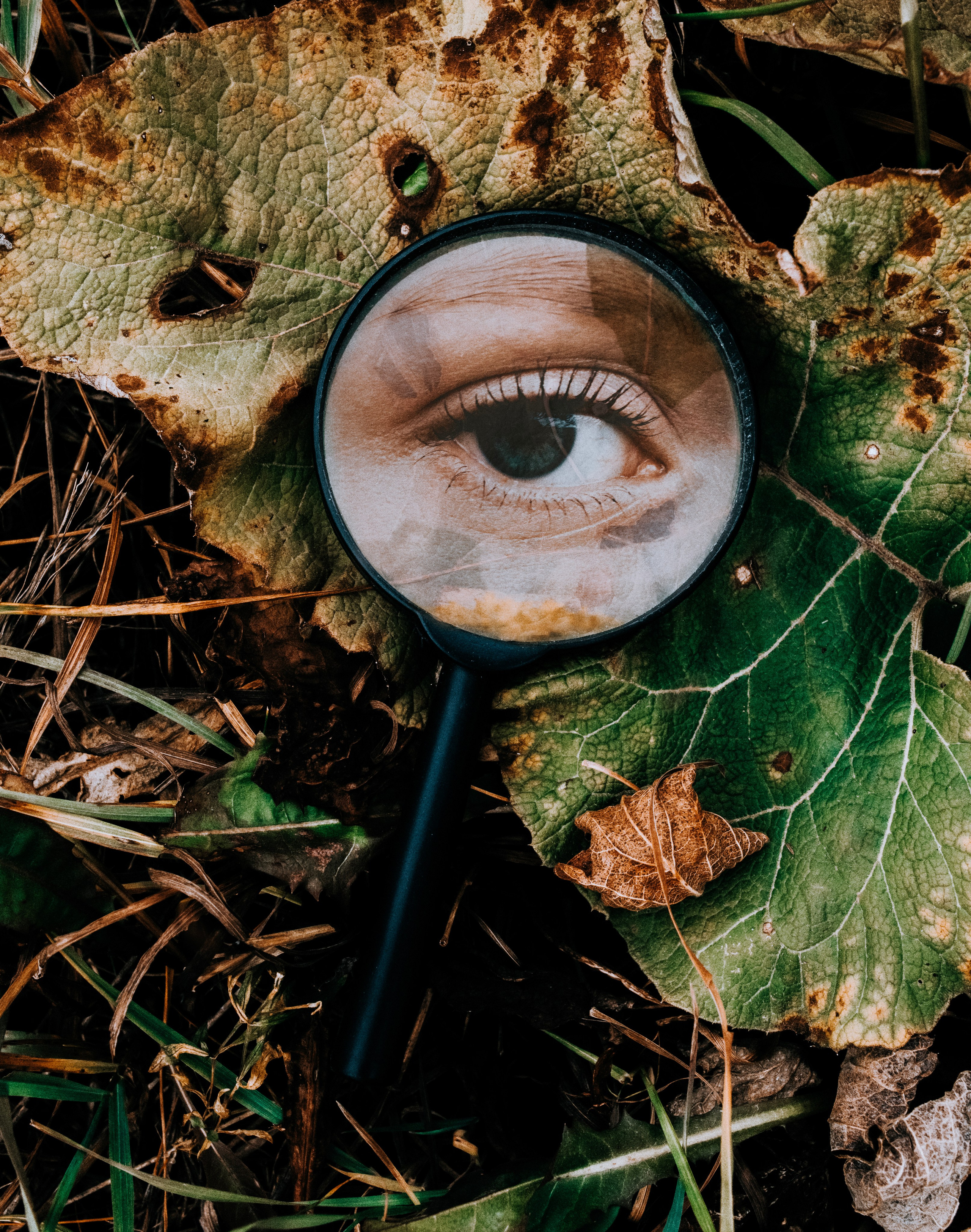 Sofia. Индивидуальный фотограф в Саранске Светлана Капусткина