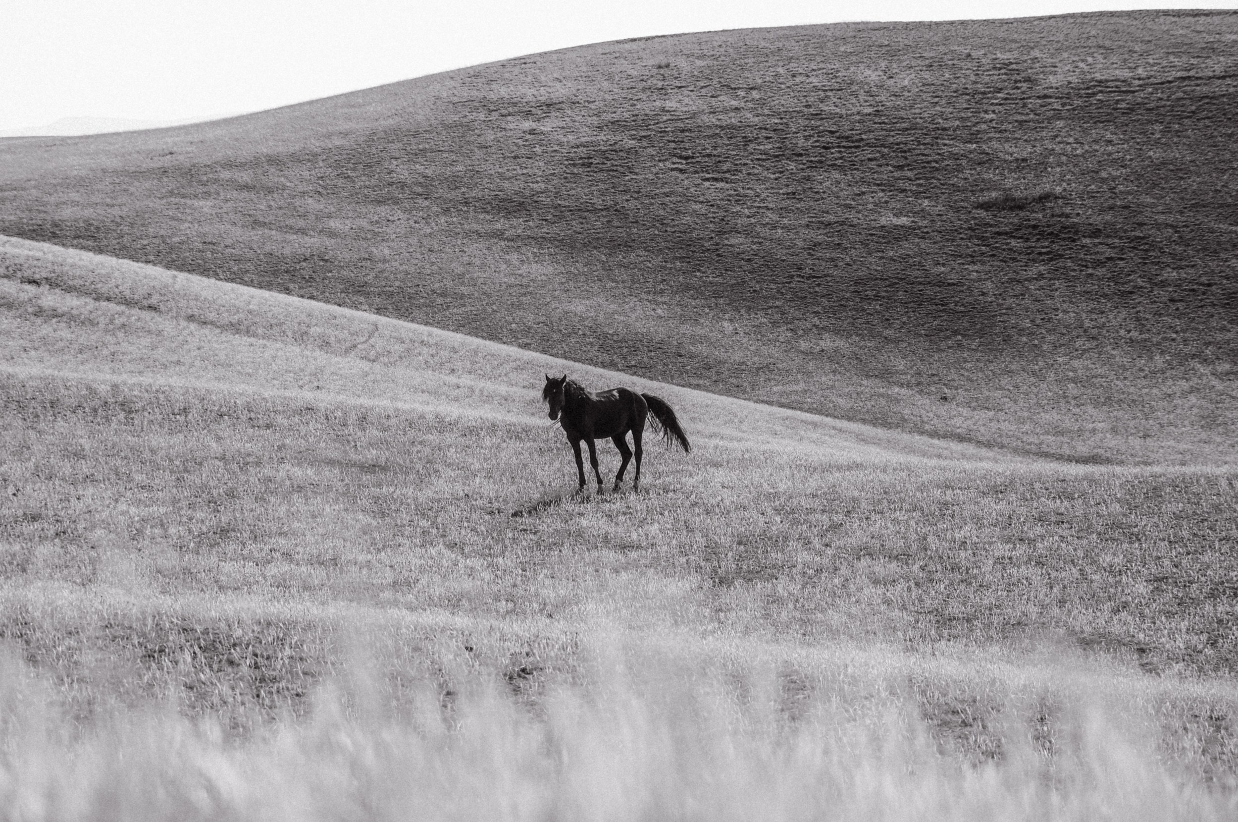Кыргызстан. Фотограф Дмитрий Олрайт | Калуга, Россия