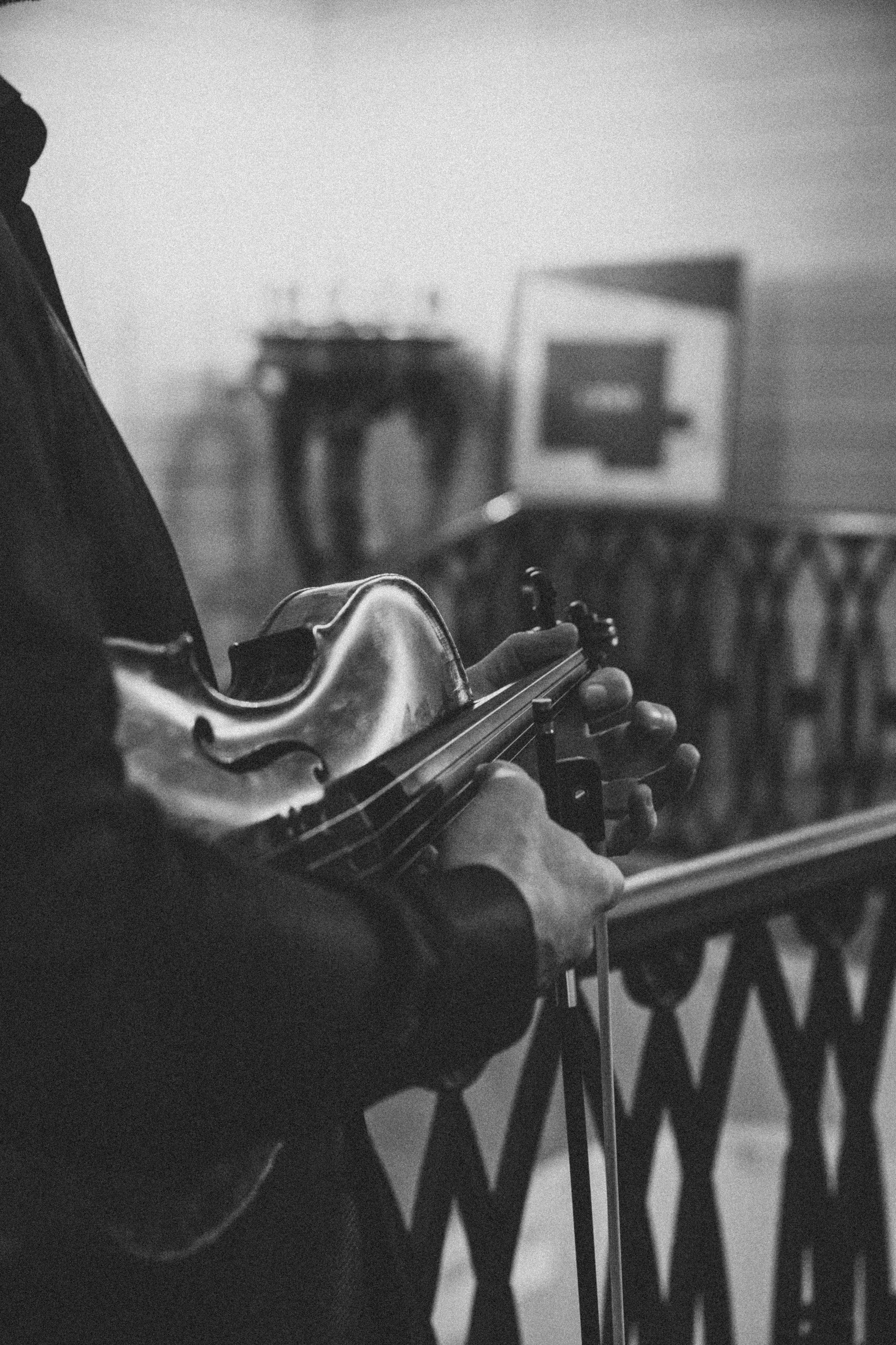 VivaMuse Строгановский дворец. Семейный и детский фотограф в Санкт-Петербурге Юлия Суркова