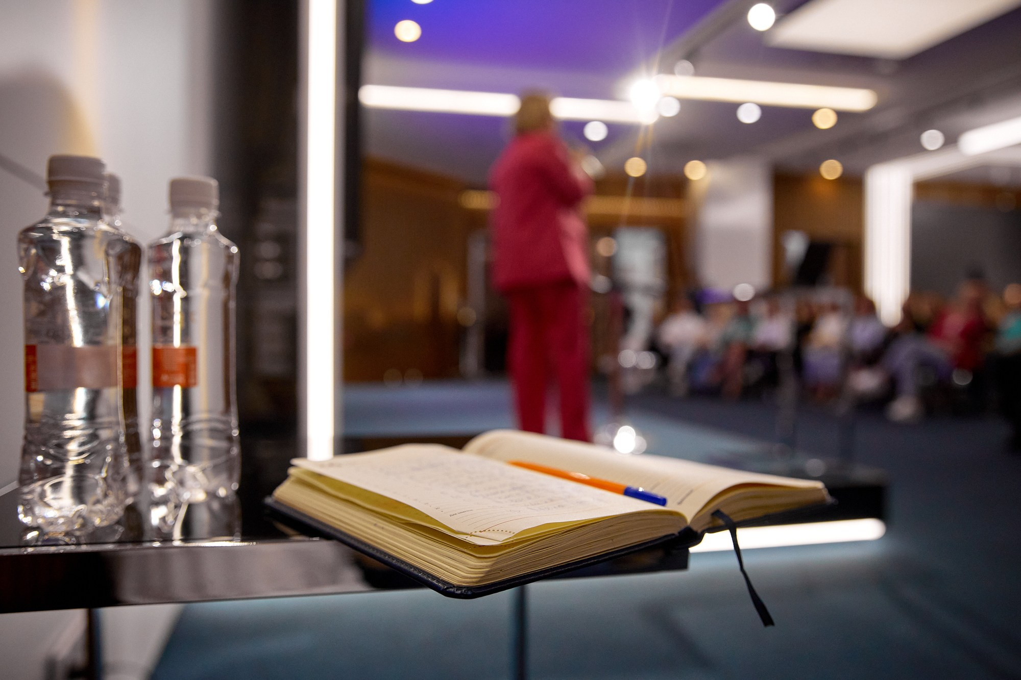 Официальные мероприятия. Галина Шабурова, фотограф в Челябинске