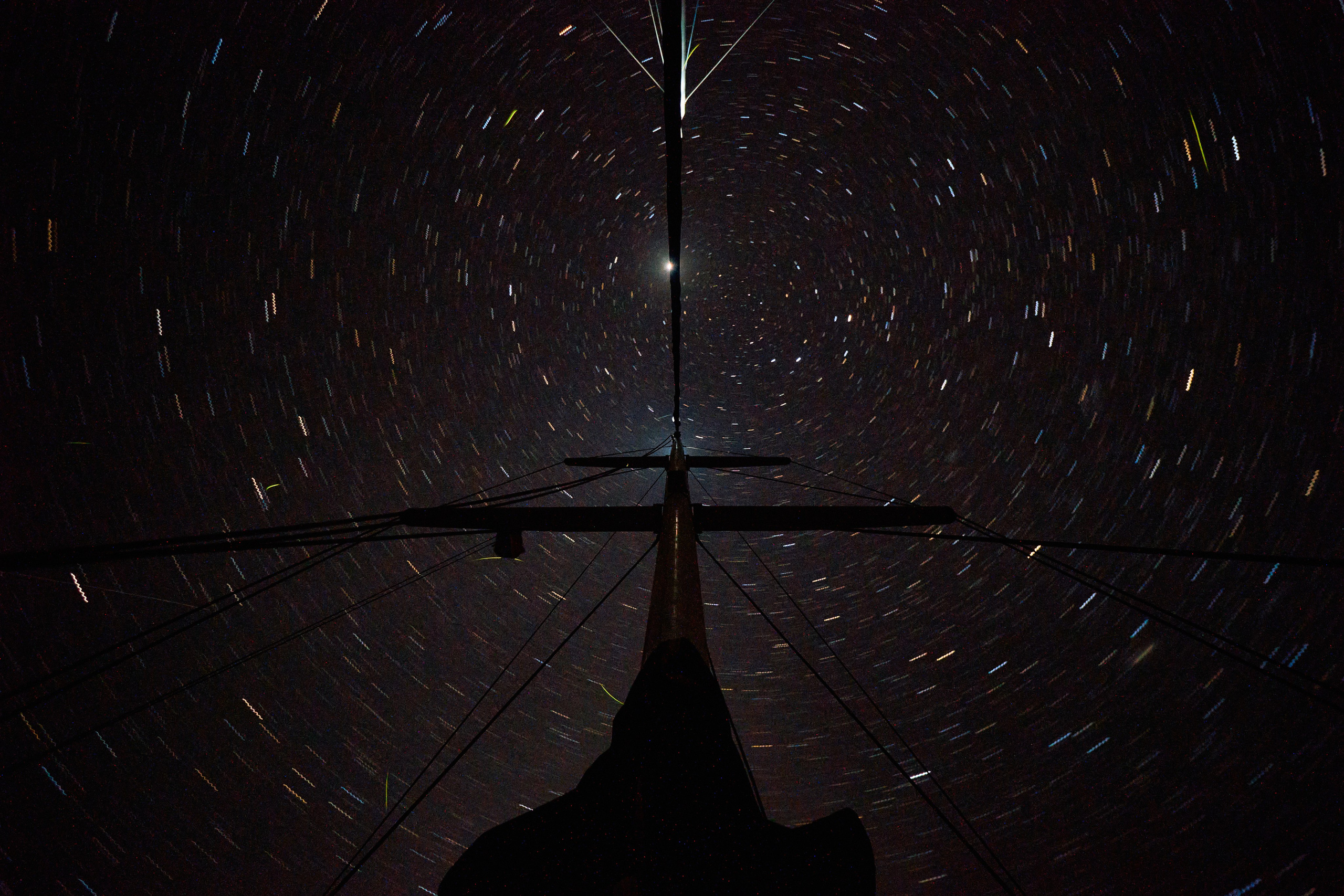 Gambia River. See the moment and catche. commercial and reportage