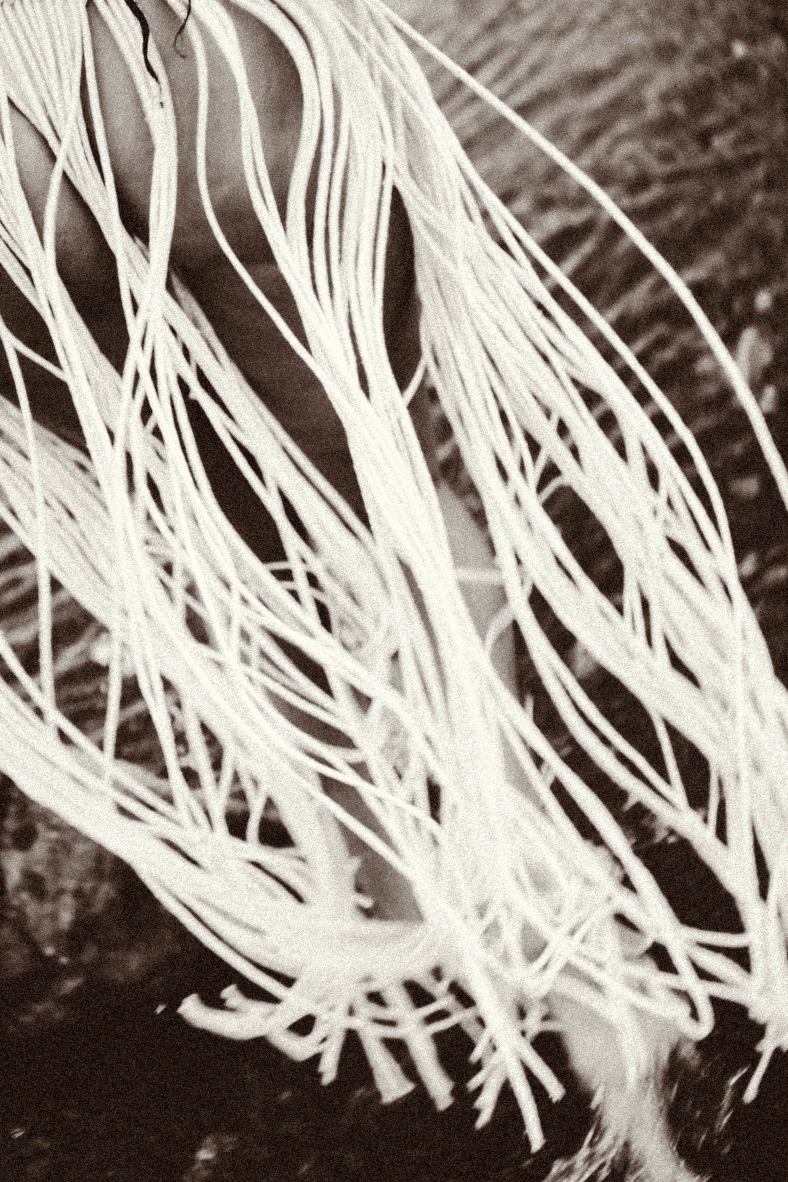 Рассвет. Профессиональный фотограф, Санкт-Петербург — Виктория Богомолова