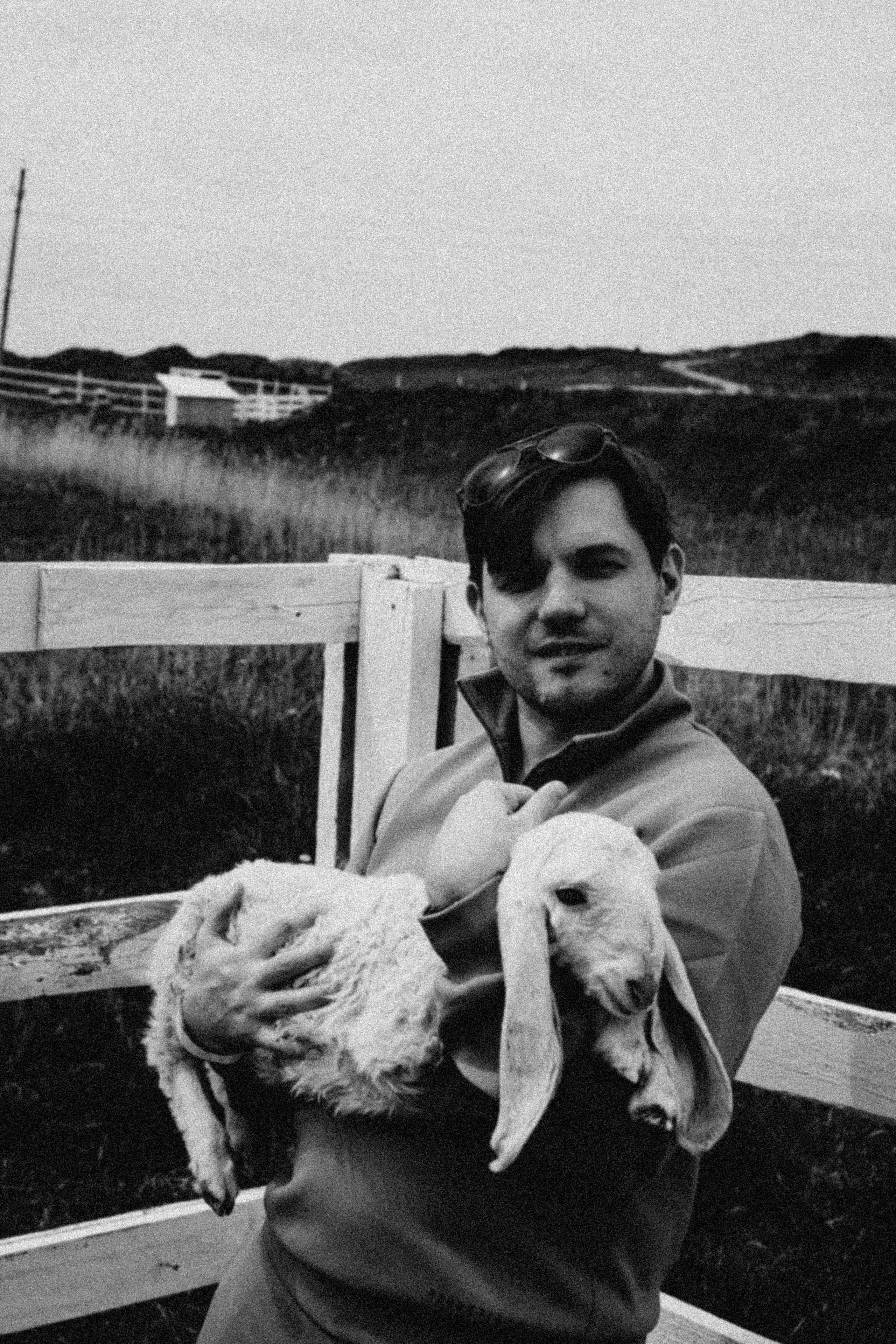 Ферма Альпак. Профессиональный фотограф, Санкт-Петербург — Виктория Богомолова