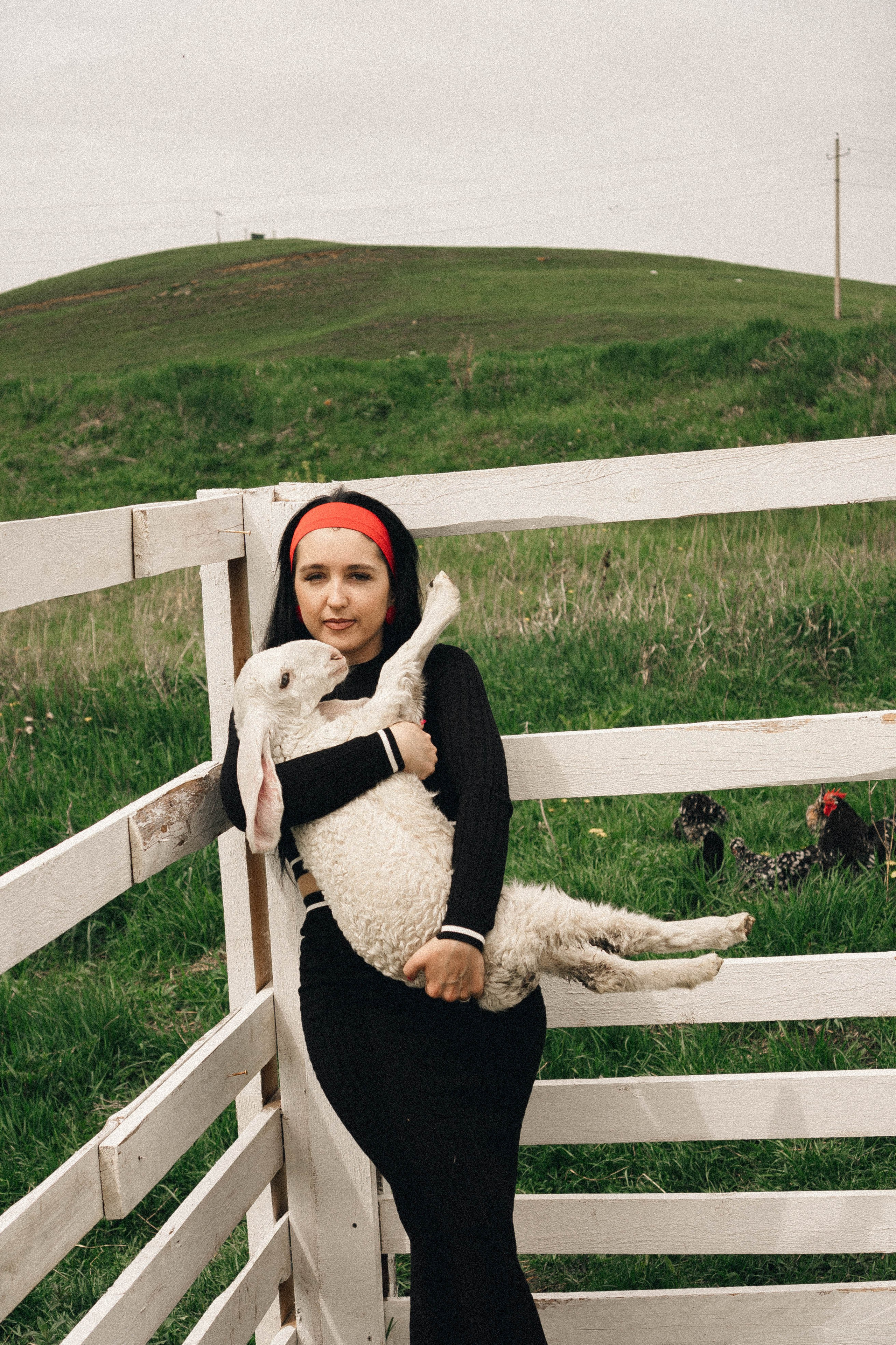 Ферма Альпак. Профессиональный фотограф, Санкт-Петербург — Виктория Богомолова