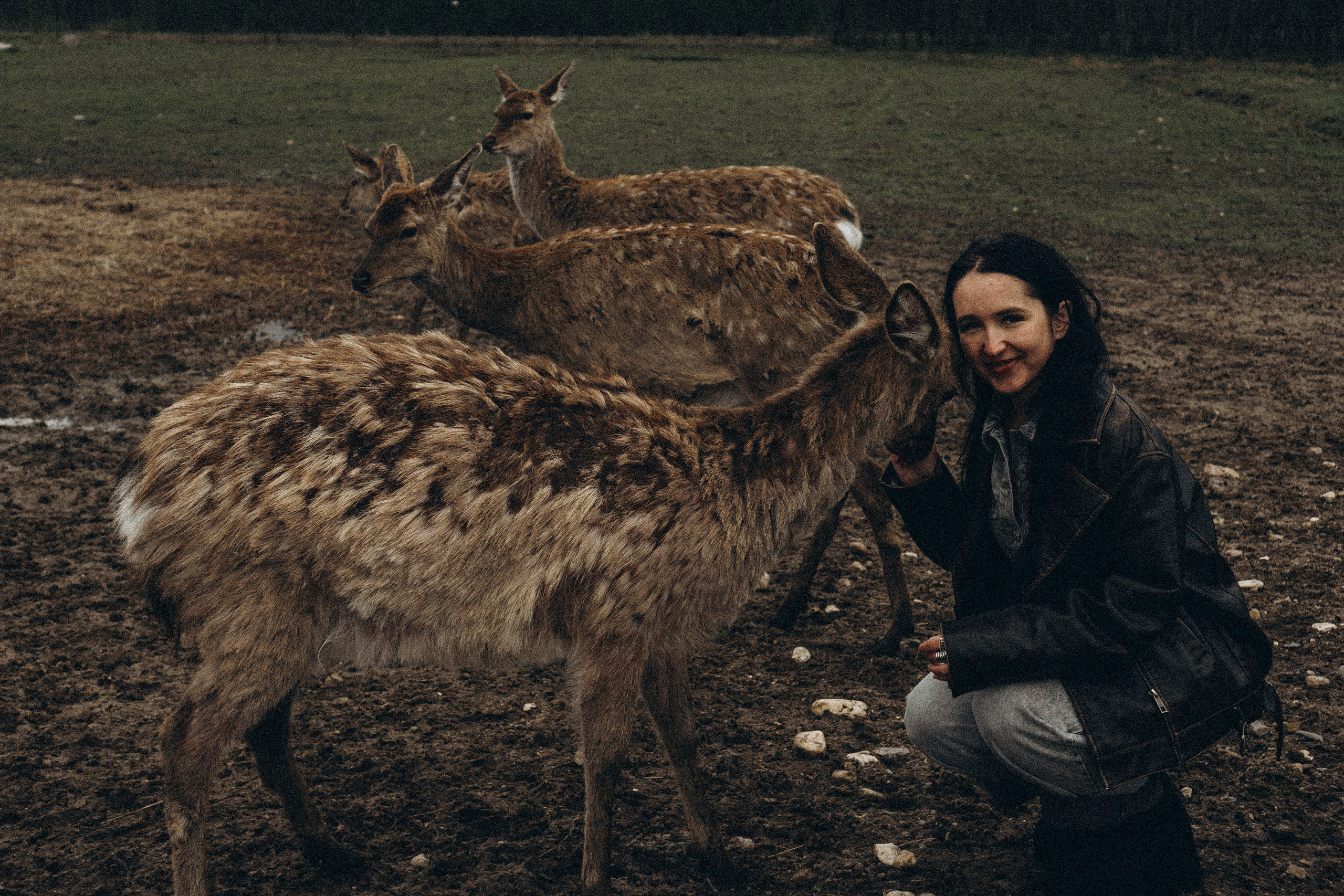 ОЛЕНЬЯ ФЕРМА В ТВЕРИ. Профессиональный фотограф, Санкт-Петербург — Виктория Богомолова