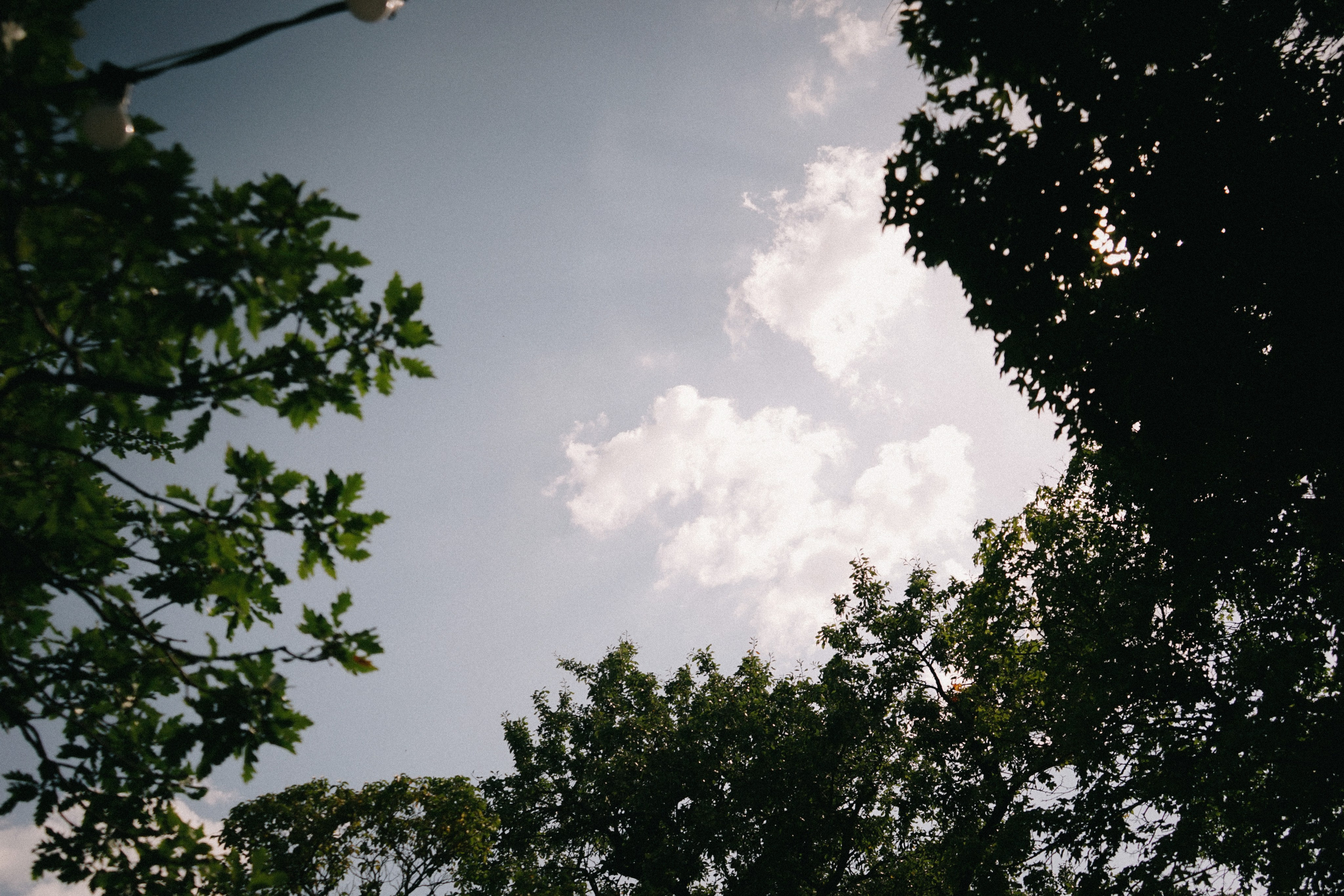 Свадебный фотограф в Грузии. Фотограф в Грузии ОАЭ | Nekit Fox