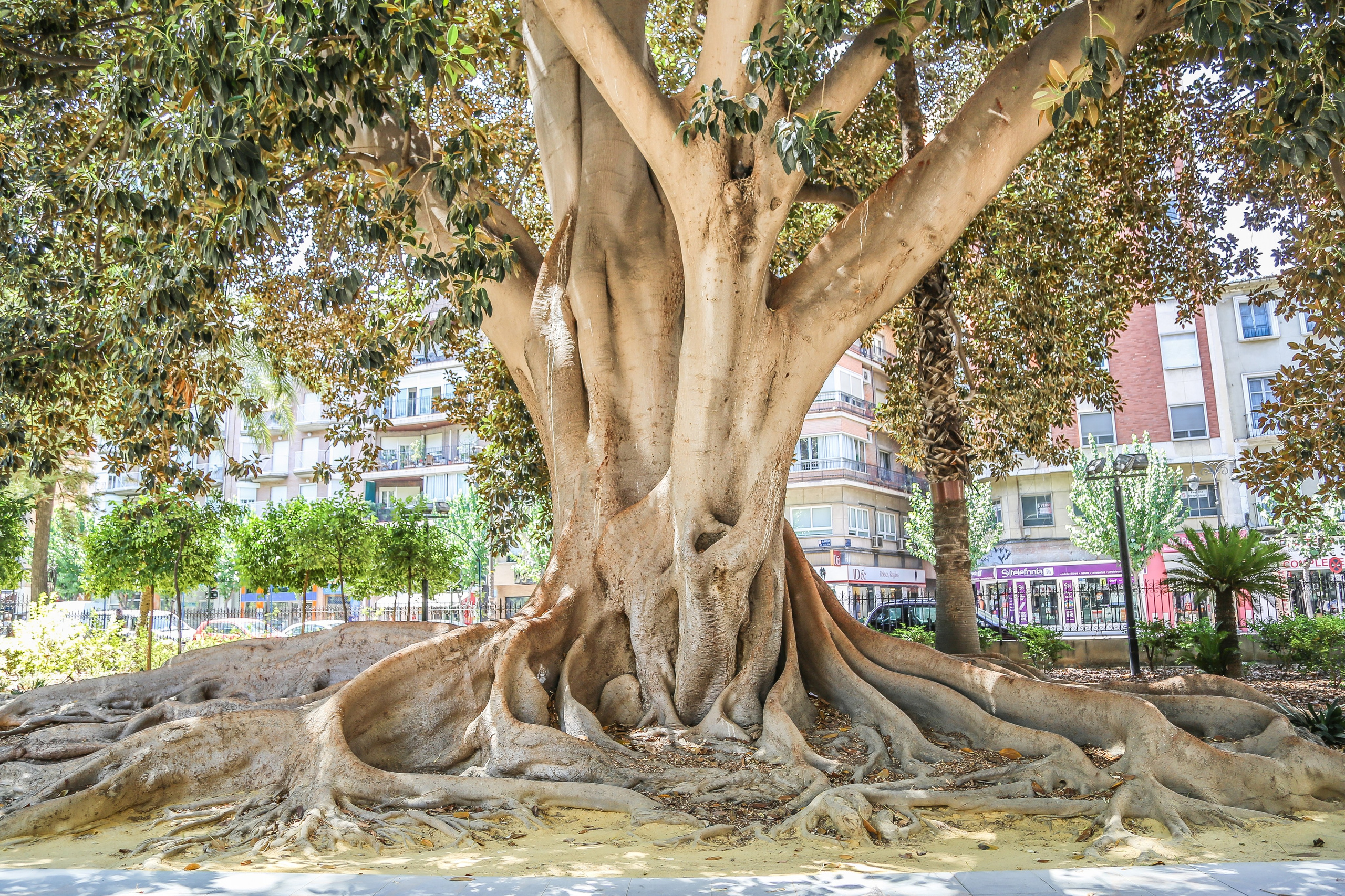 Испания: Мурсия и Арчена — взгляд с дистанции. Дарья Письменюк / Darya Leitstern — фотограф, музыкант, журналист, путешественник