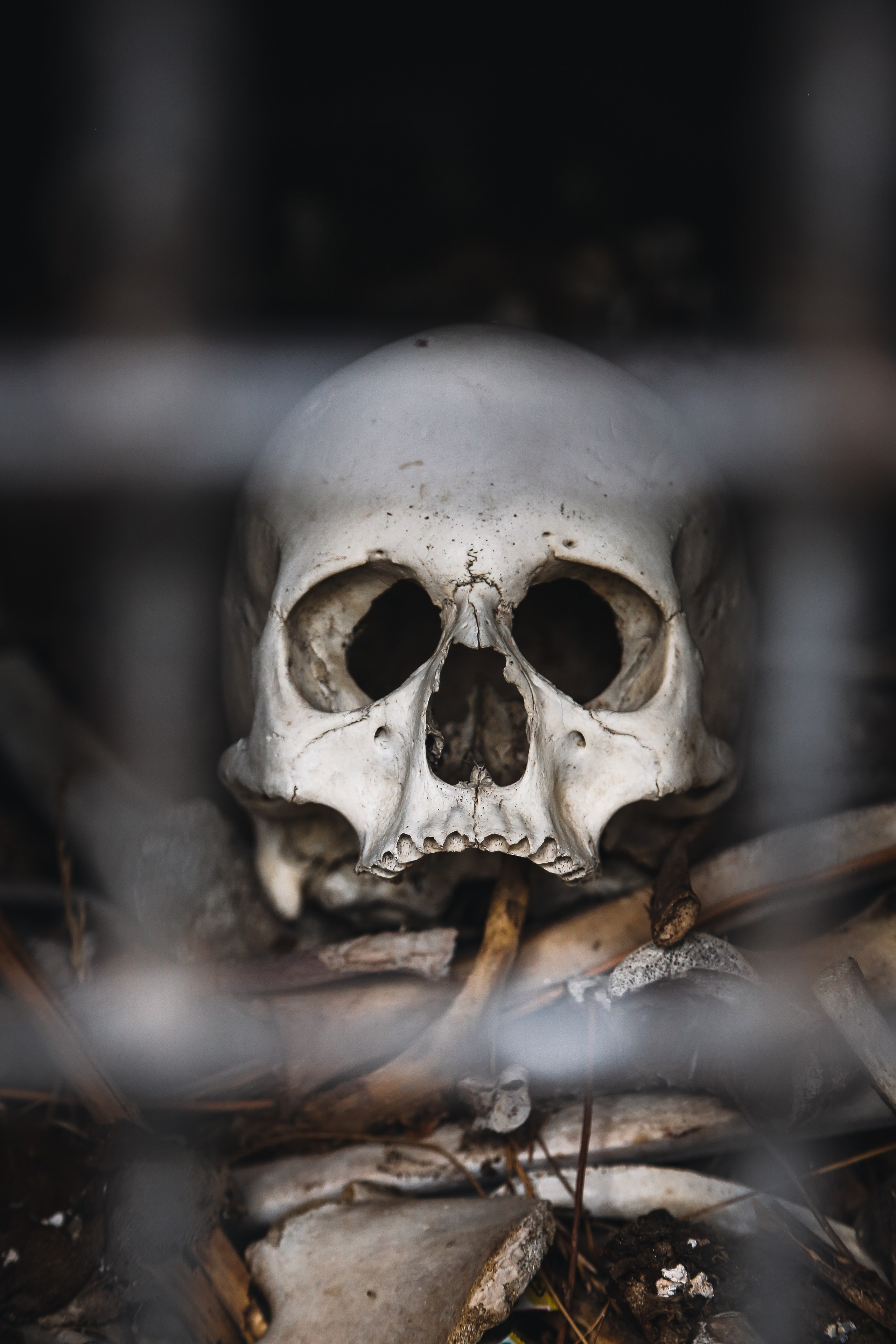 Кавказ: Северная Осетия. Дарья Письменюк / Darya Leitstern — фотограф, музыкант, журналист, путешественник