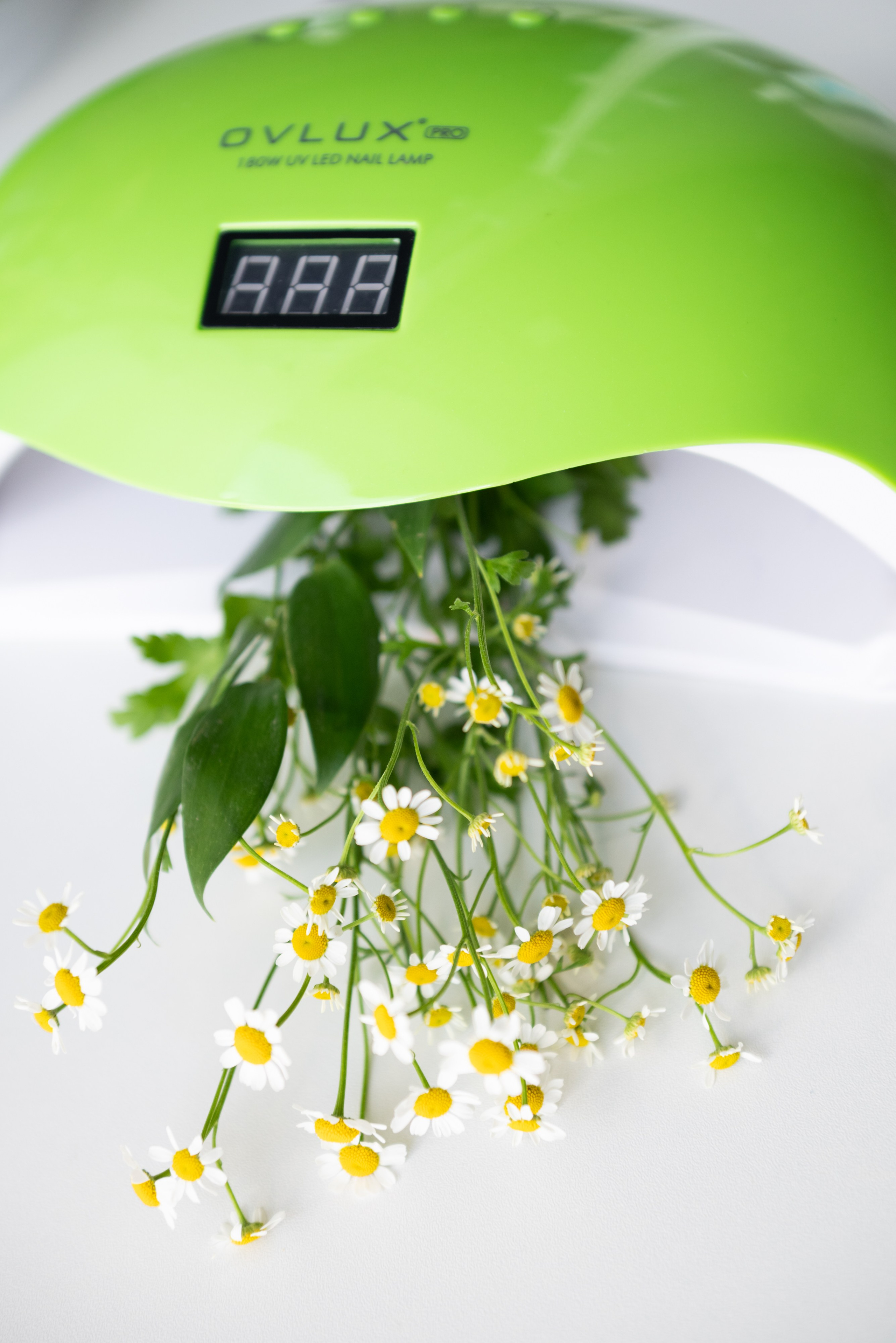 Салон красоты «Лайм». Фотограф Москва Настя Профотовна. Репортажные, свадебные и контент фотосессии