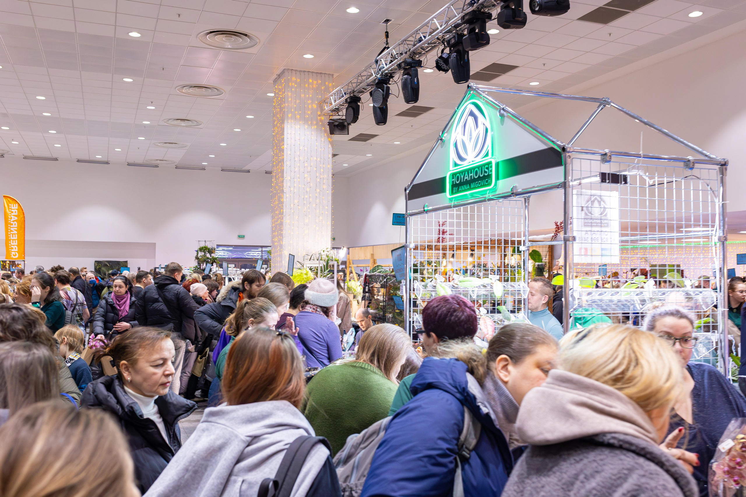 Орхидиум 12.2025. Александра Куликова фотограф, Москва