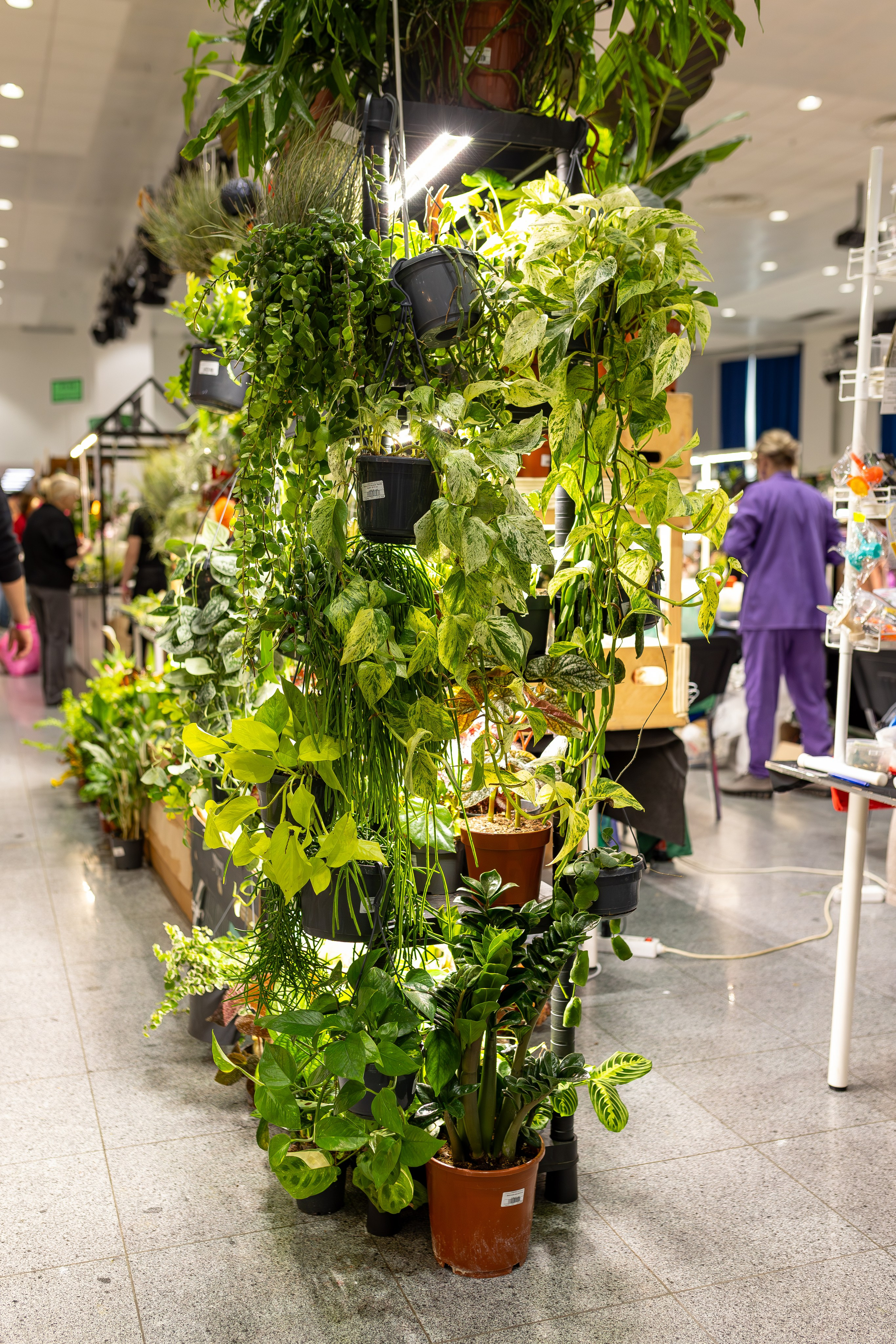 Монстериум апрель 2026. Александра Куликова фотограф, Москва