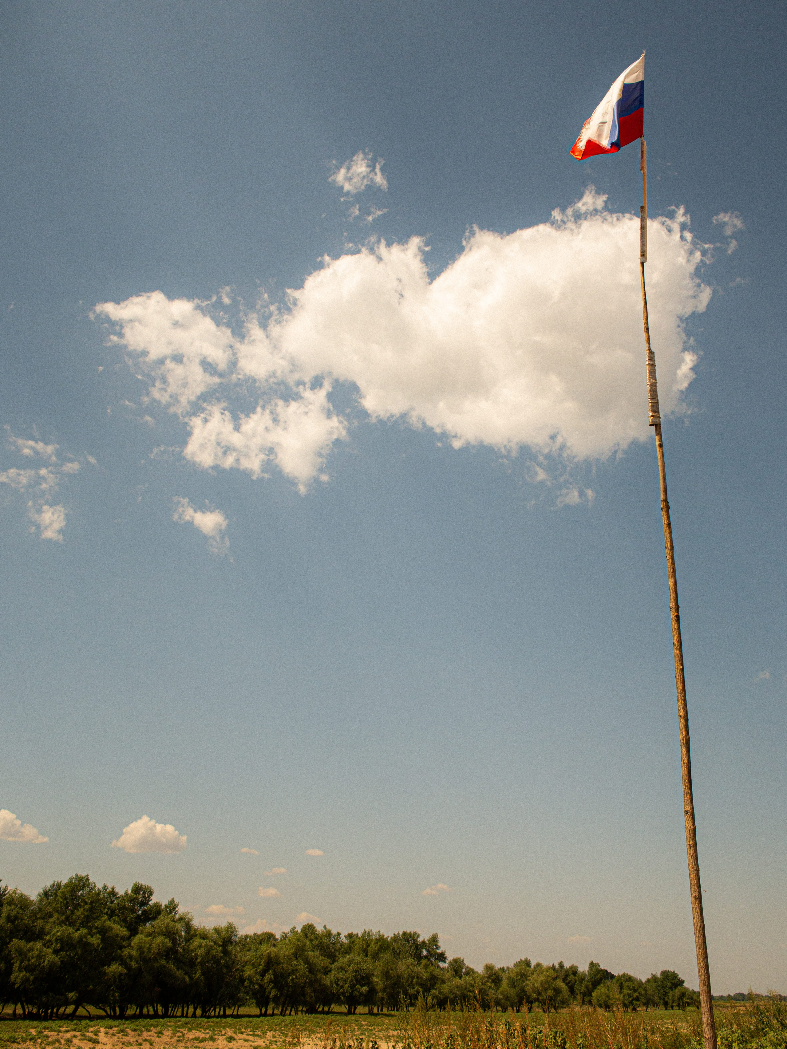 Safer Path. Visual artist