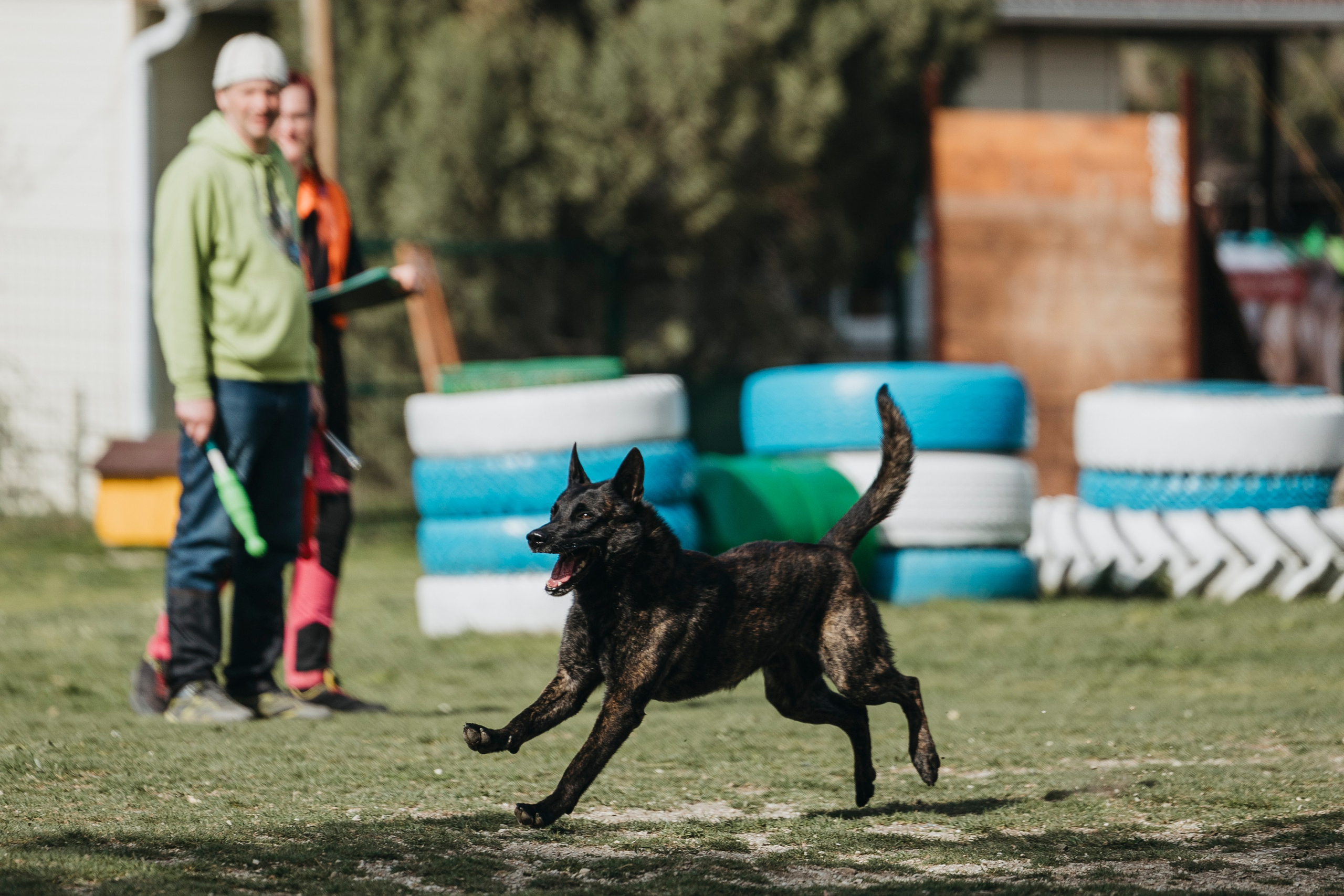 Геленджик Мондьоринг. Фотограф-анималист Анна Маринич