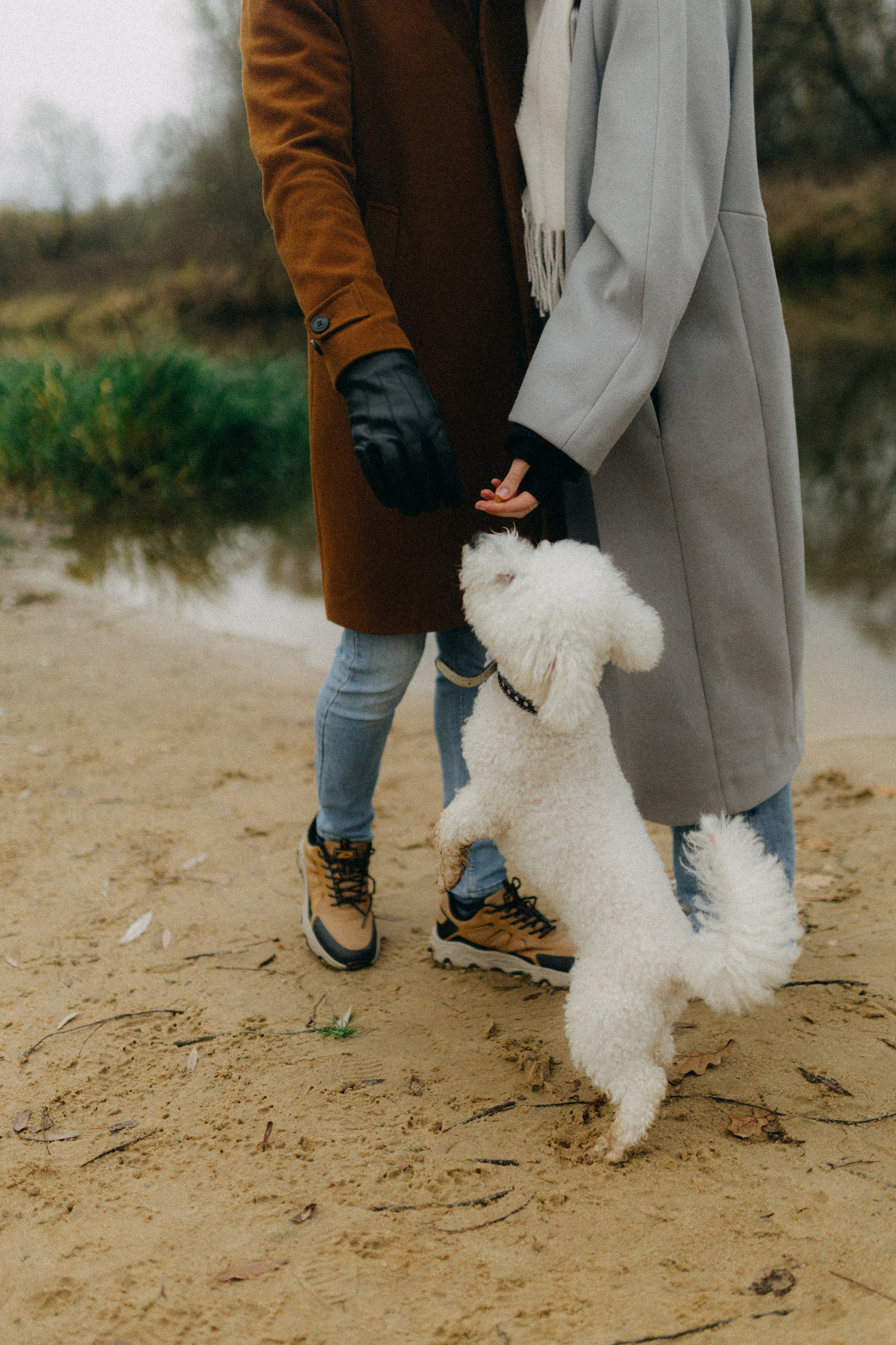 Лена & Миша. Фотограф НОГИНСК, Москва, Анастасия Белая