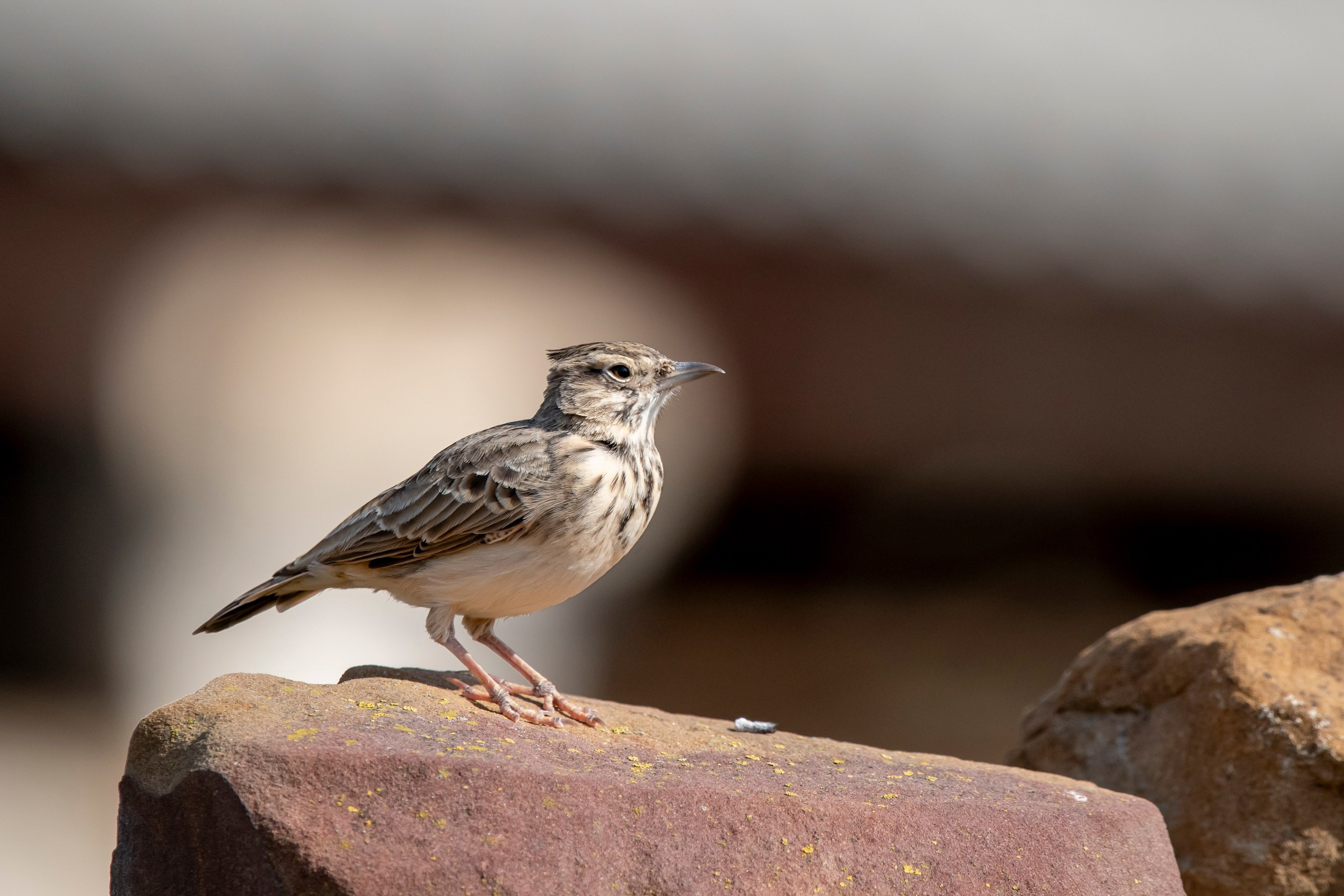Природа Дагестана, сентябрь 2024. Foto-Zuev фотография как искусство