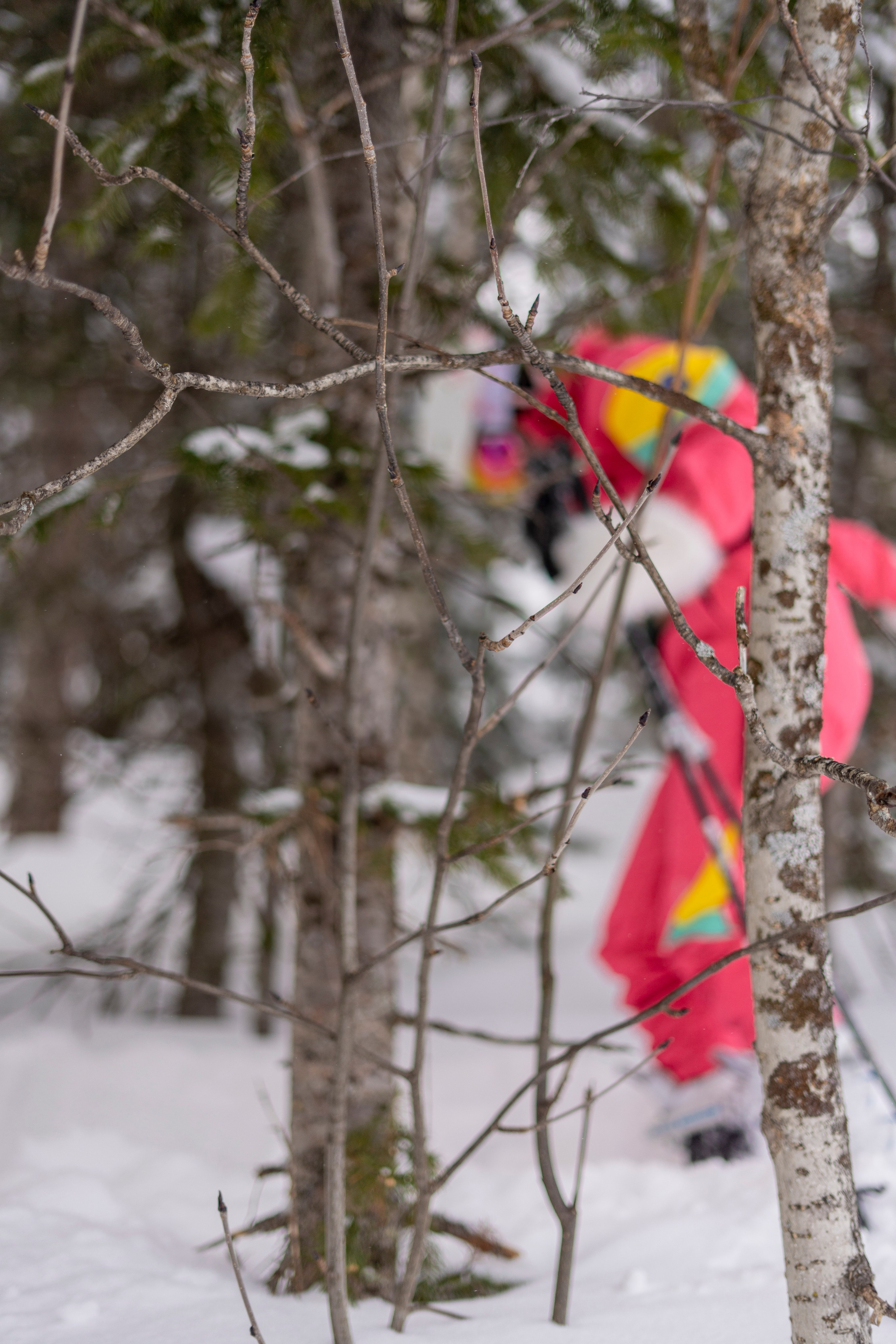 Тур. Анастасия Паршукова — фотограф Шерегеш Новосибирск