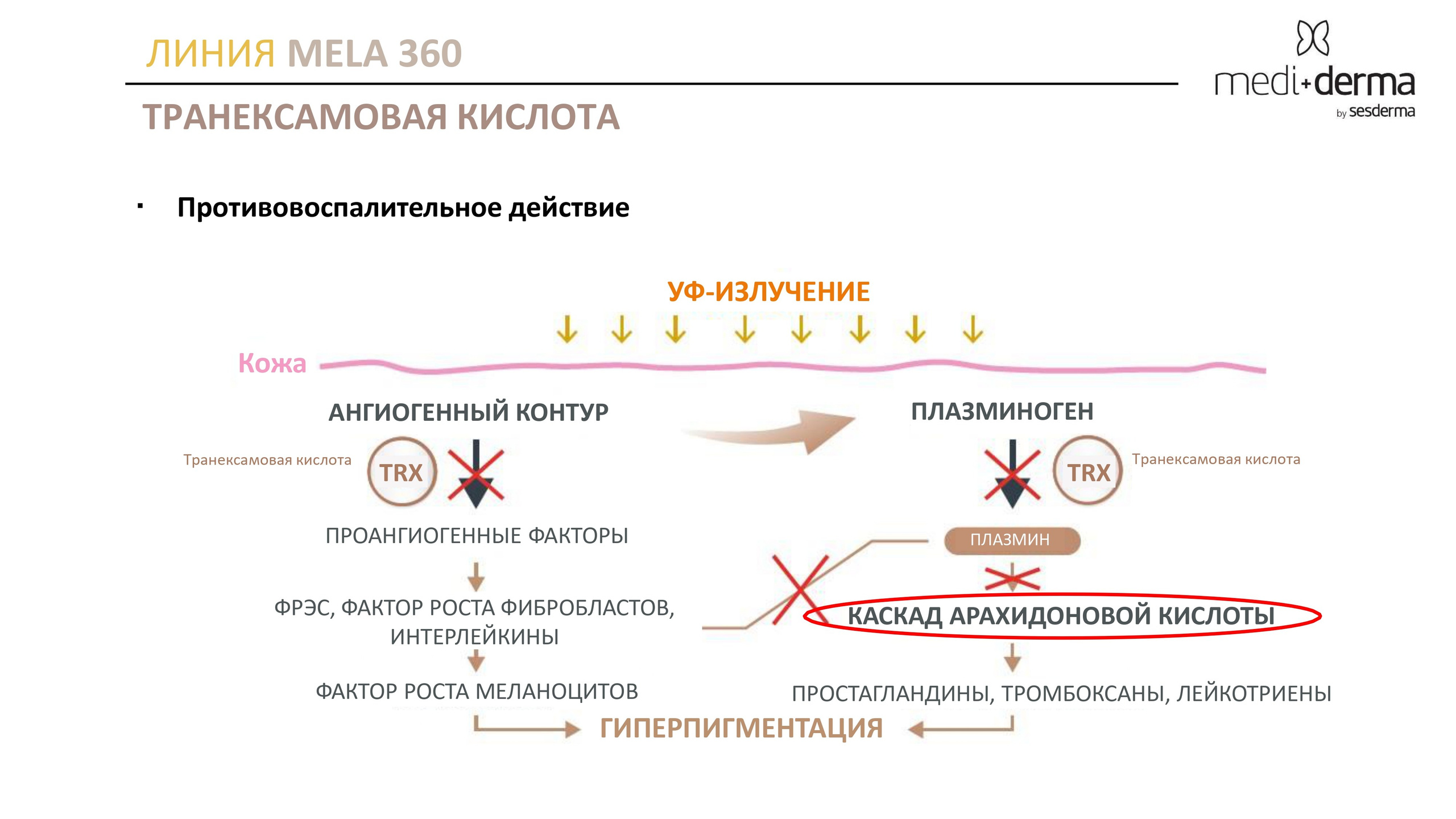 Medi Derma. Студия перманентного макияжа, косметологии и массажа SYMMETRY в Москве, м. Киевская