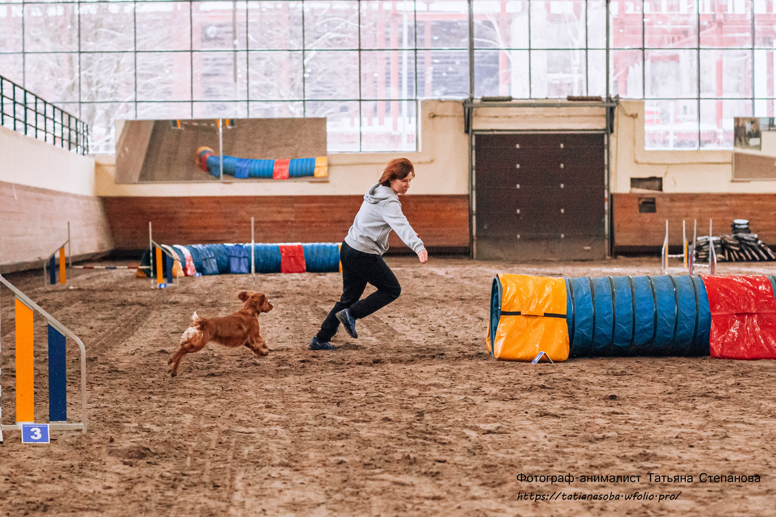 Соревнования по Аджилити 25.02.2024. Фотограф-анималист Татьяна Степанова
