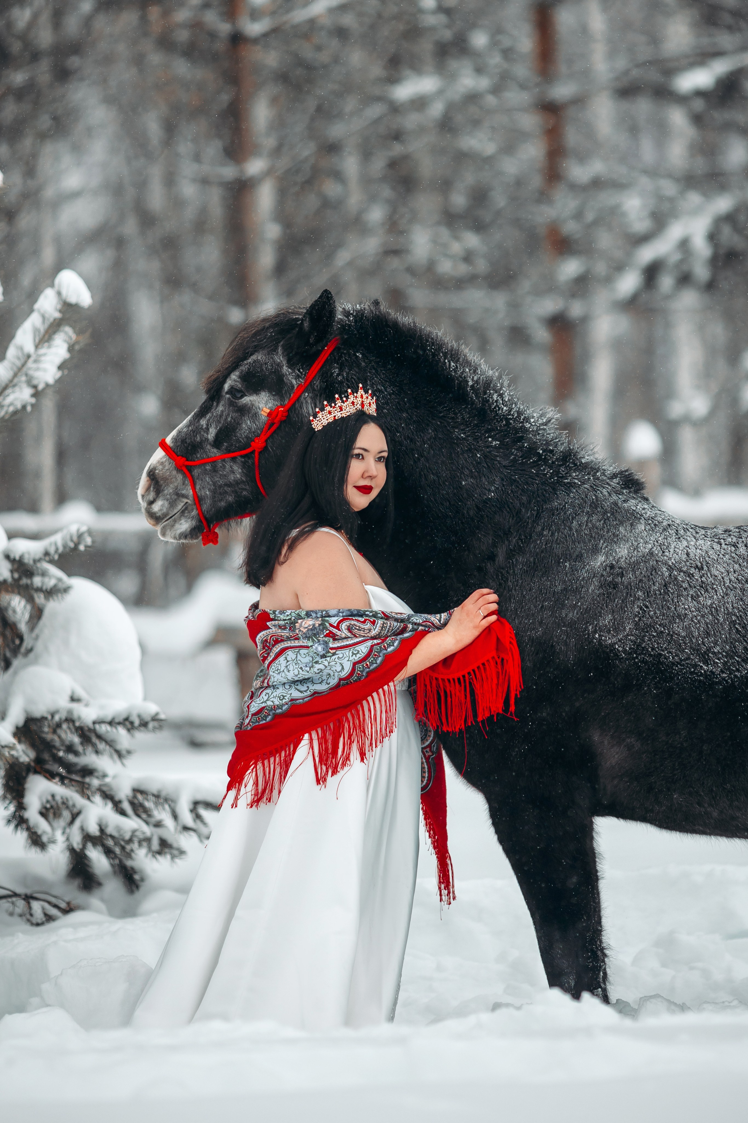 Яблоки на снегу. Анна Молчанова конный фотограф в Тюмени | фотосессии с лошадьми Тюмень