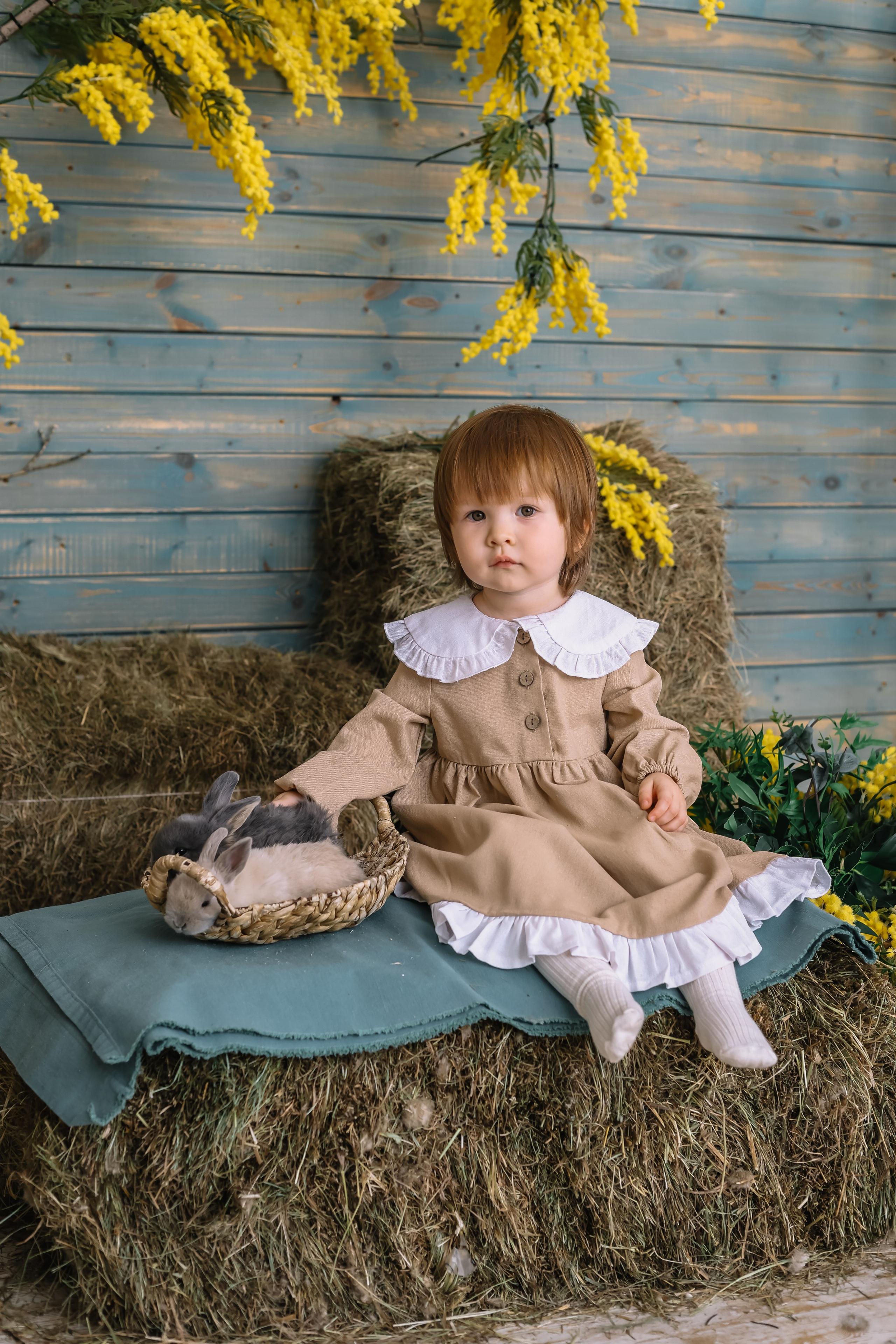 Утята. Фотограф и видеограф Анна Домашенко