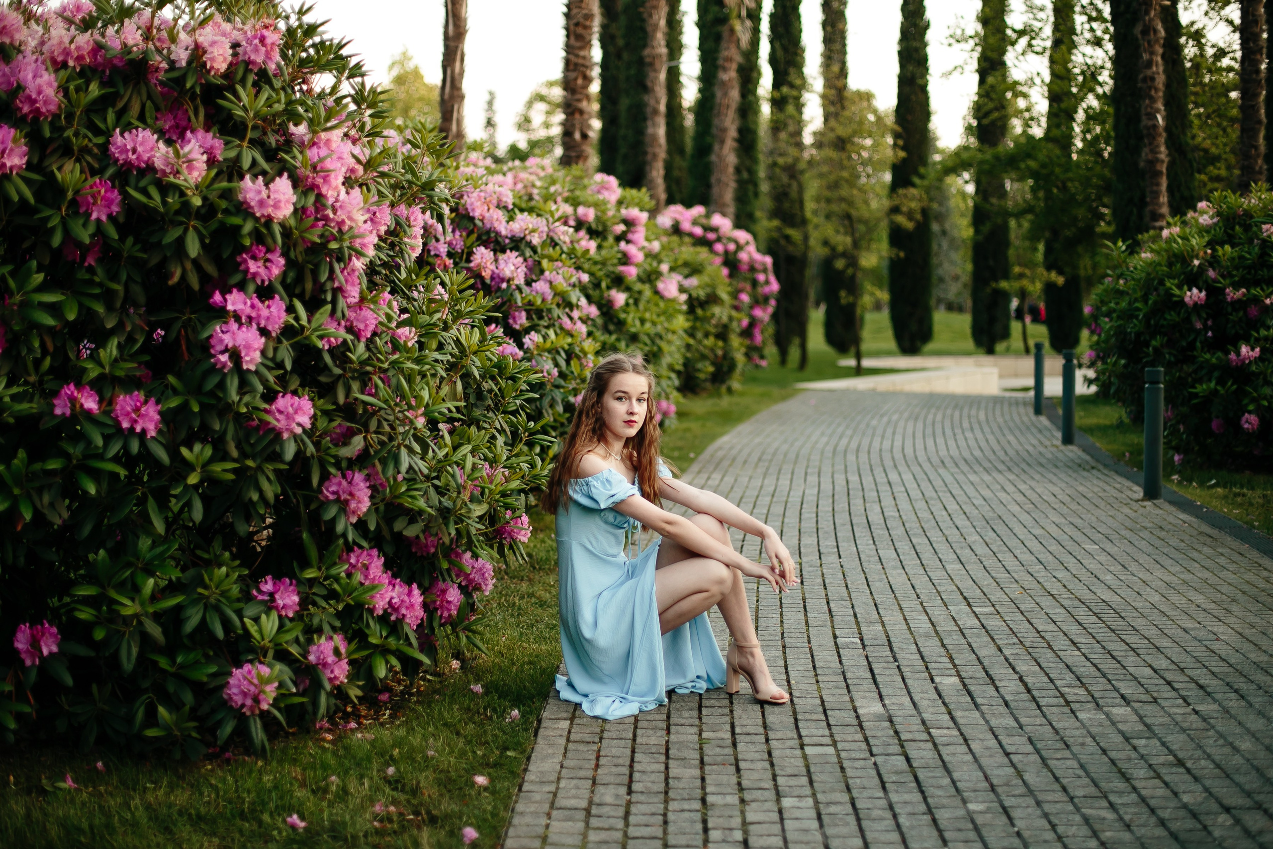 Цветение Рододендрона. Свадебный и семейный фотограф в Краснодаре Илонна Ковалева